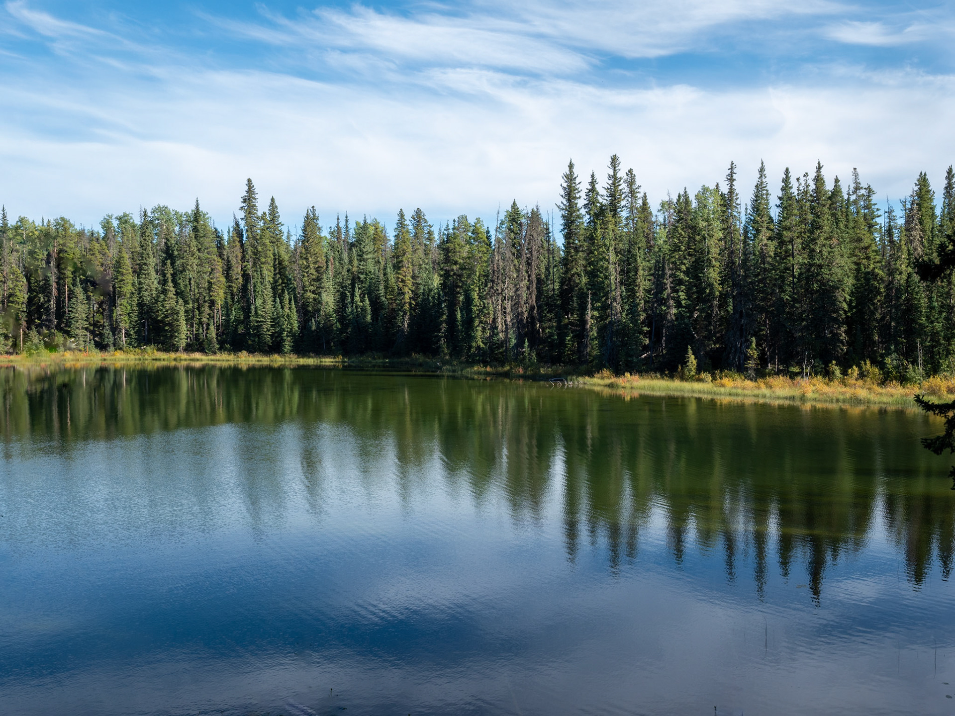 Jarvis Lake
