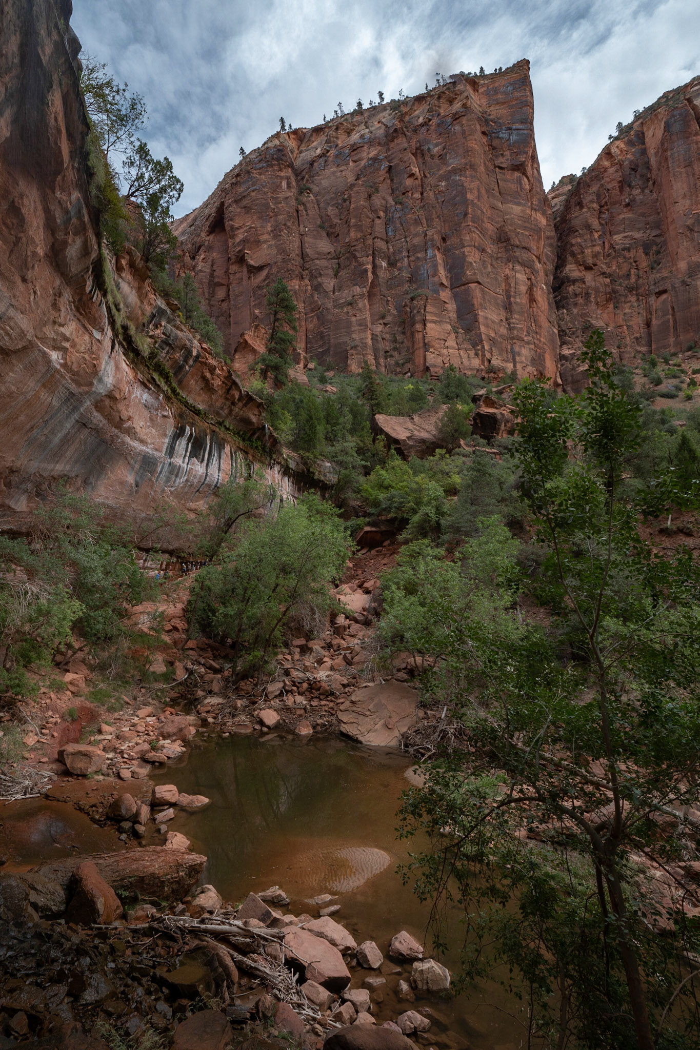 P1072917 Lower Emerald Pool
