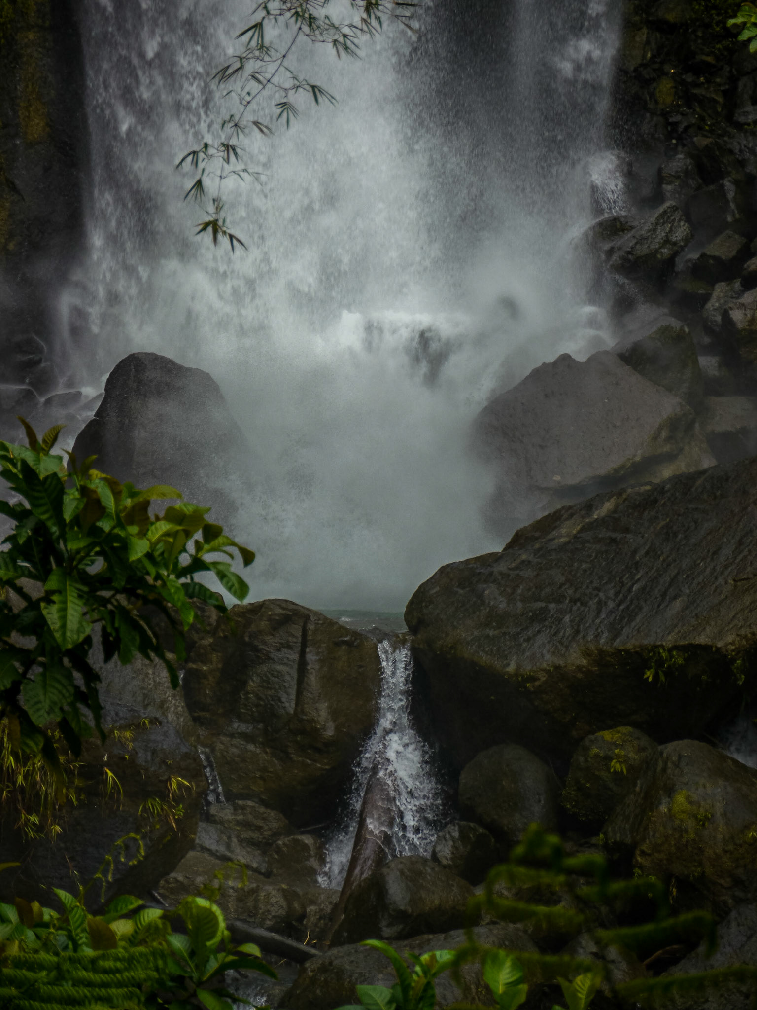 P1040429