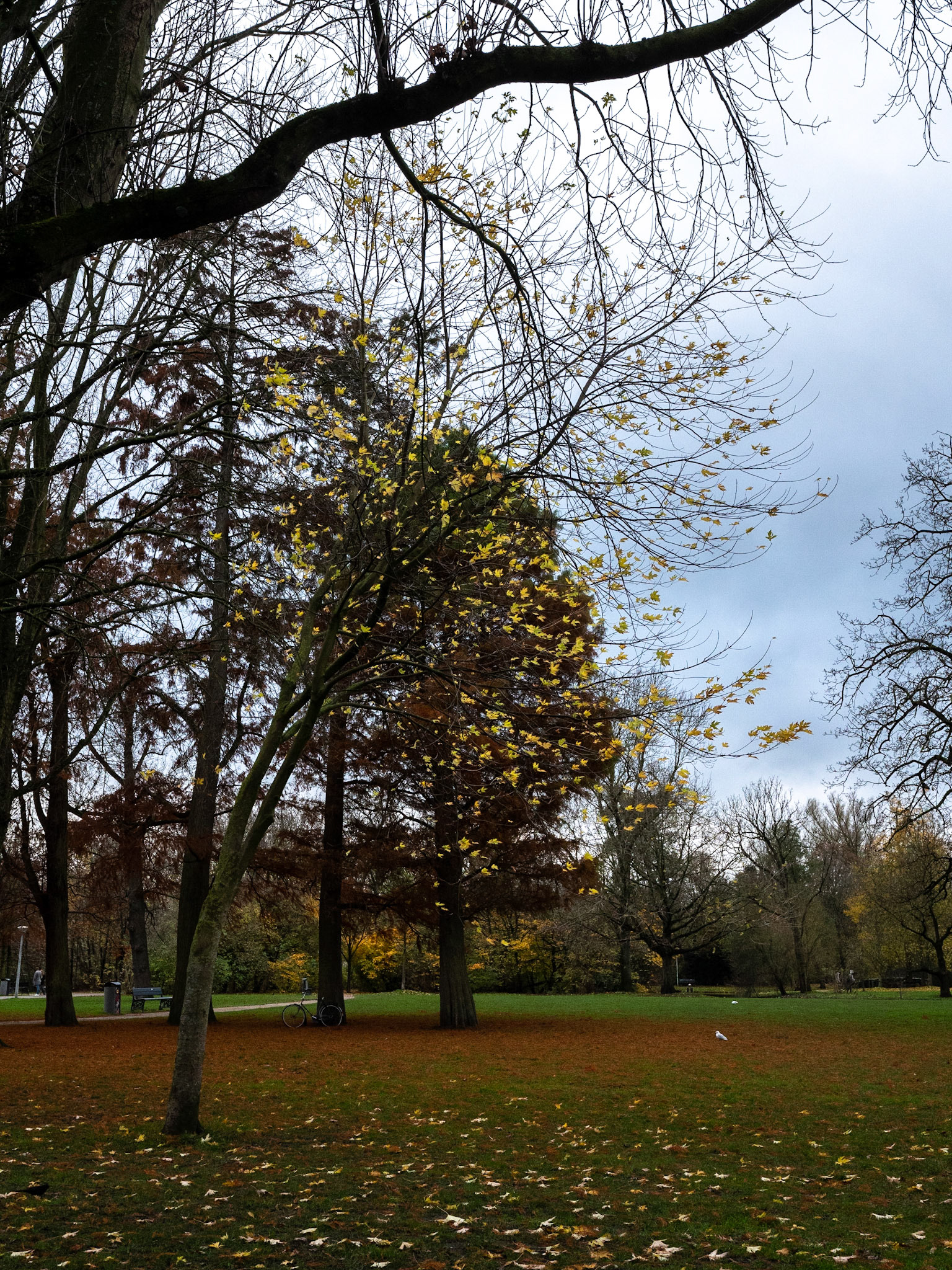 P1068164 Vondelpark