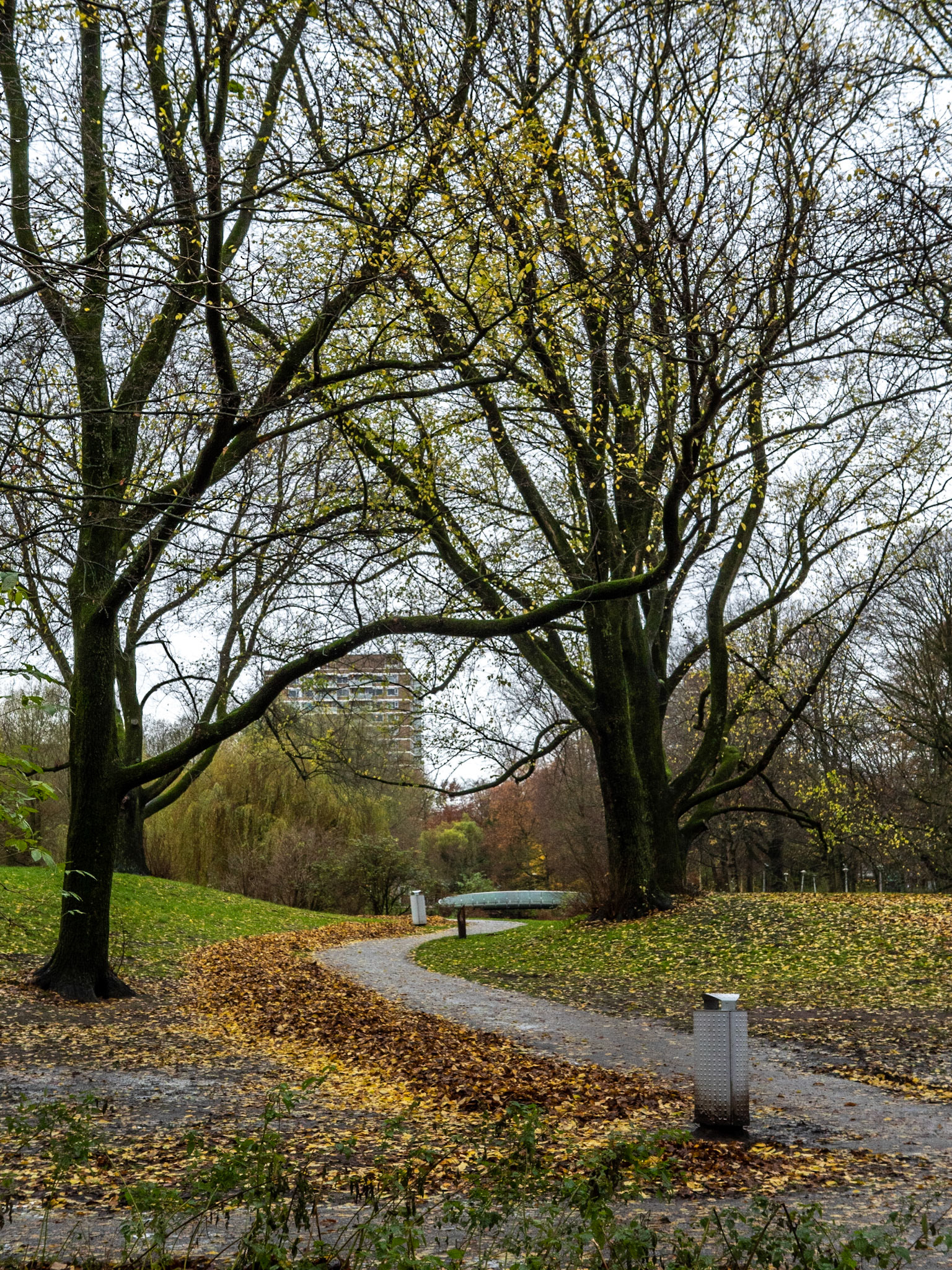 P1068198 Rembrandtpark