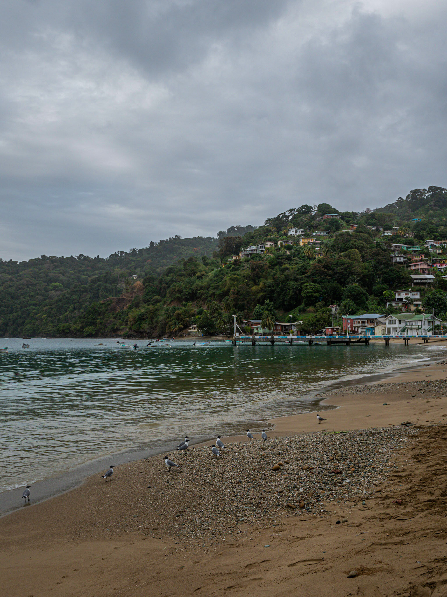 P1055156 Charlotteville