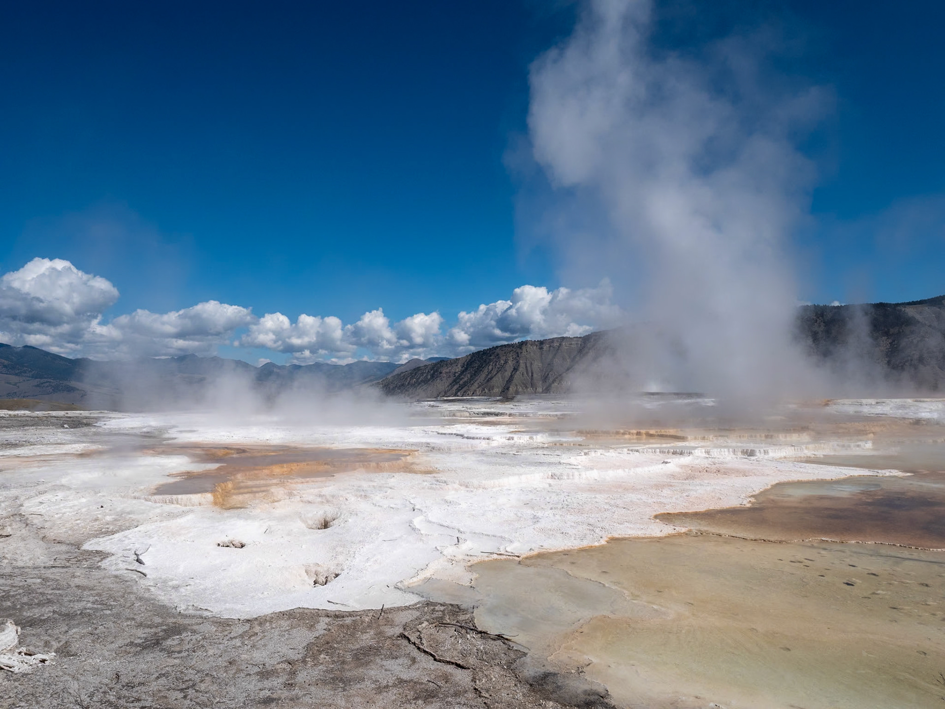 P1124558 Yellowstone National Park