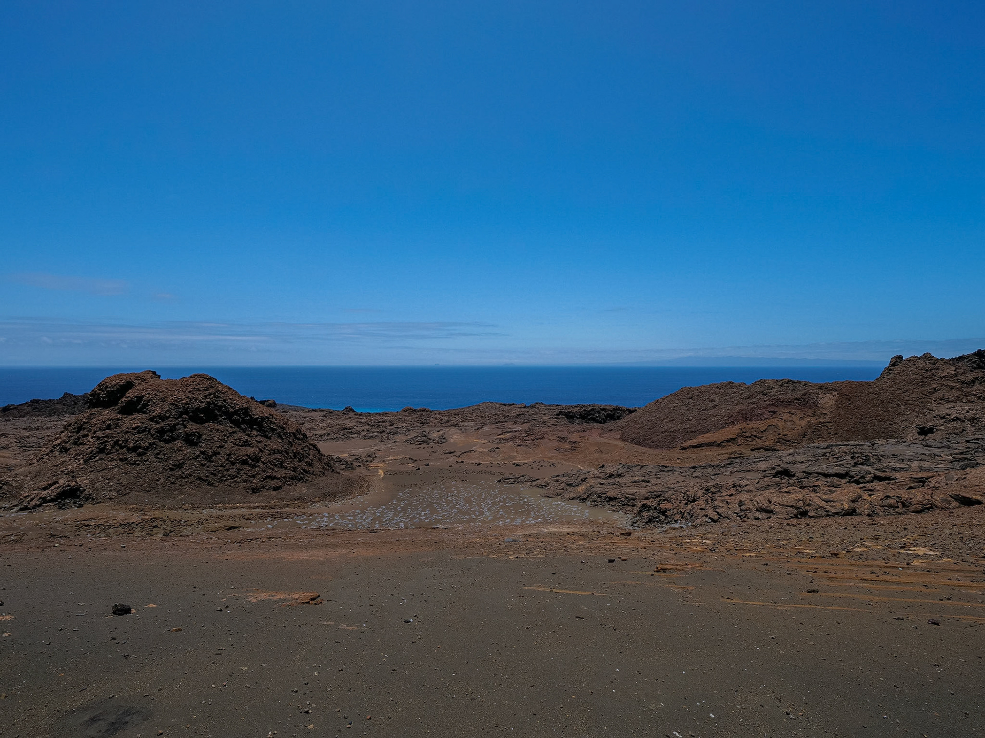 P1001648 Bartolomé Island Galapagos