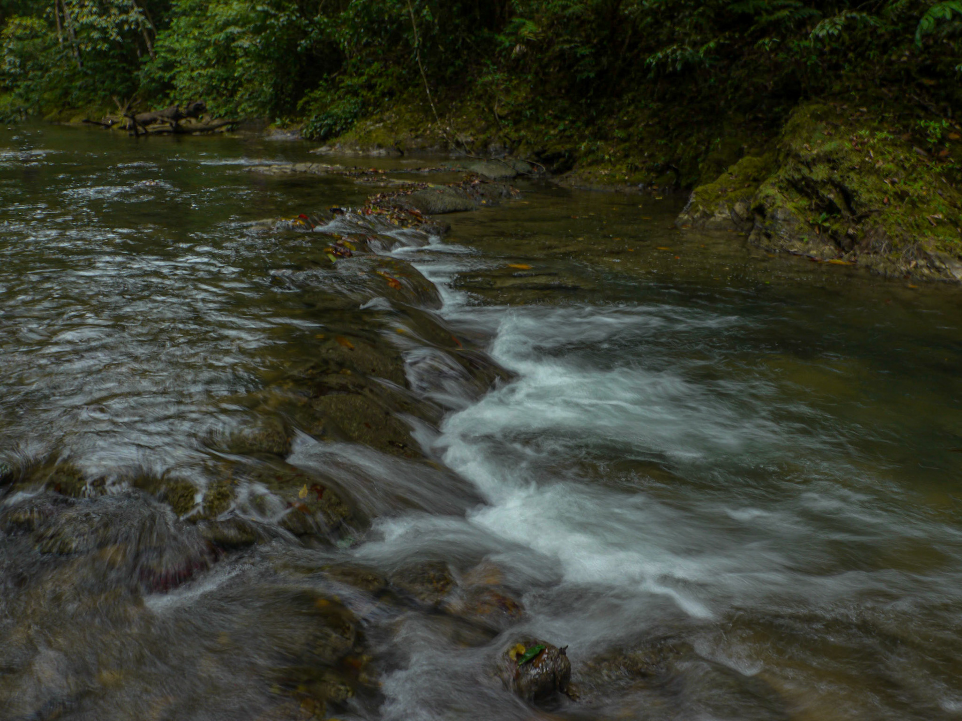 P1060260 Matura River