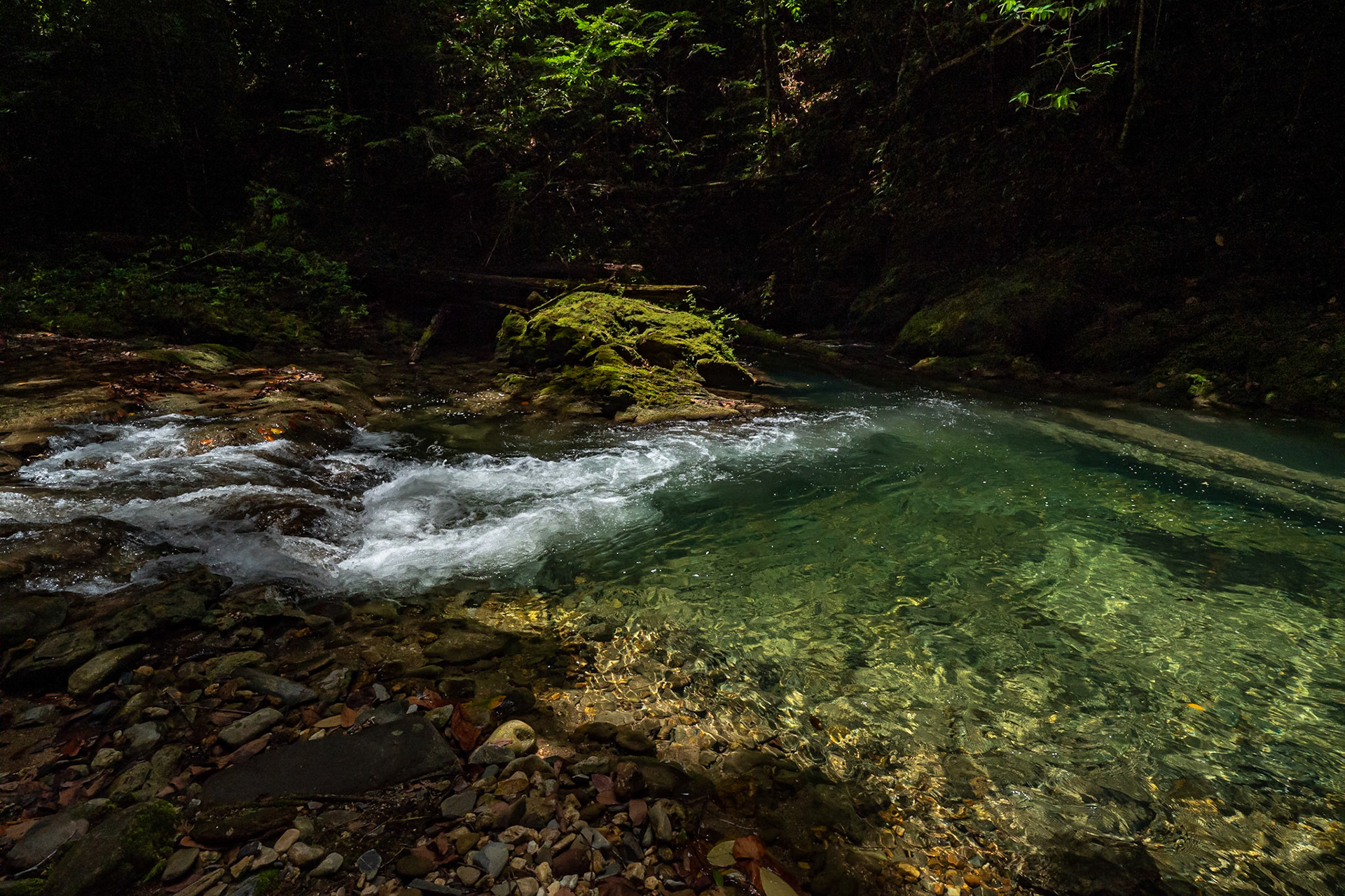 P1070415 Small rapids
