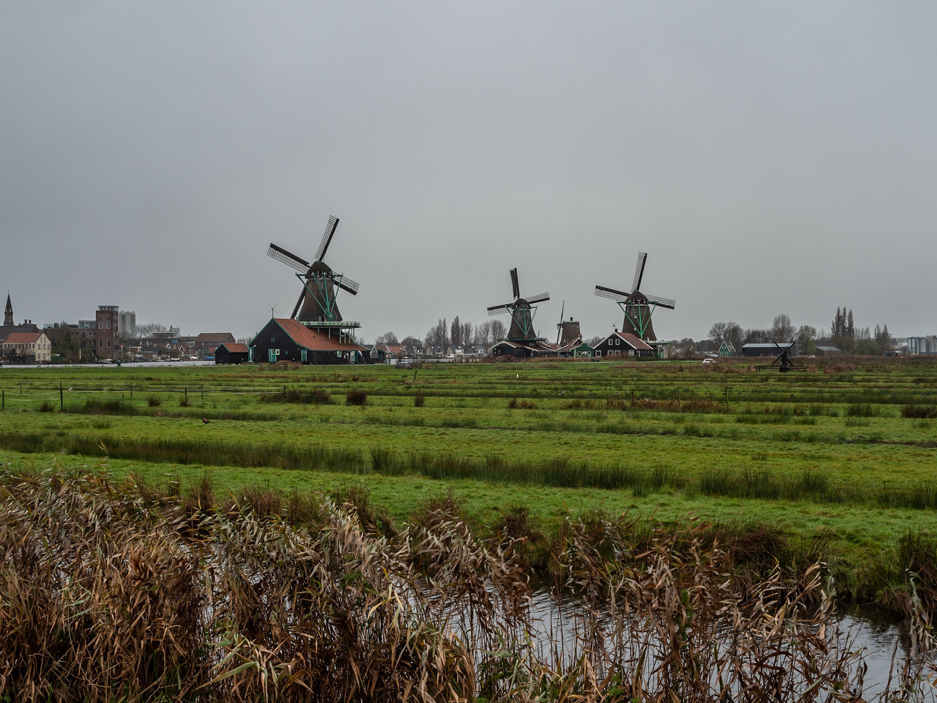 P1068382 Windmills of Zaanse Schans