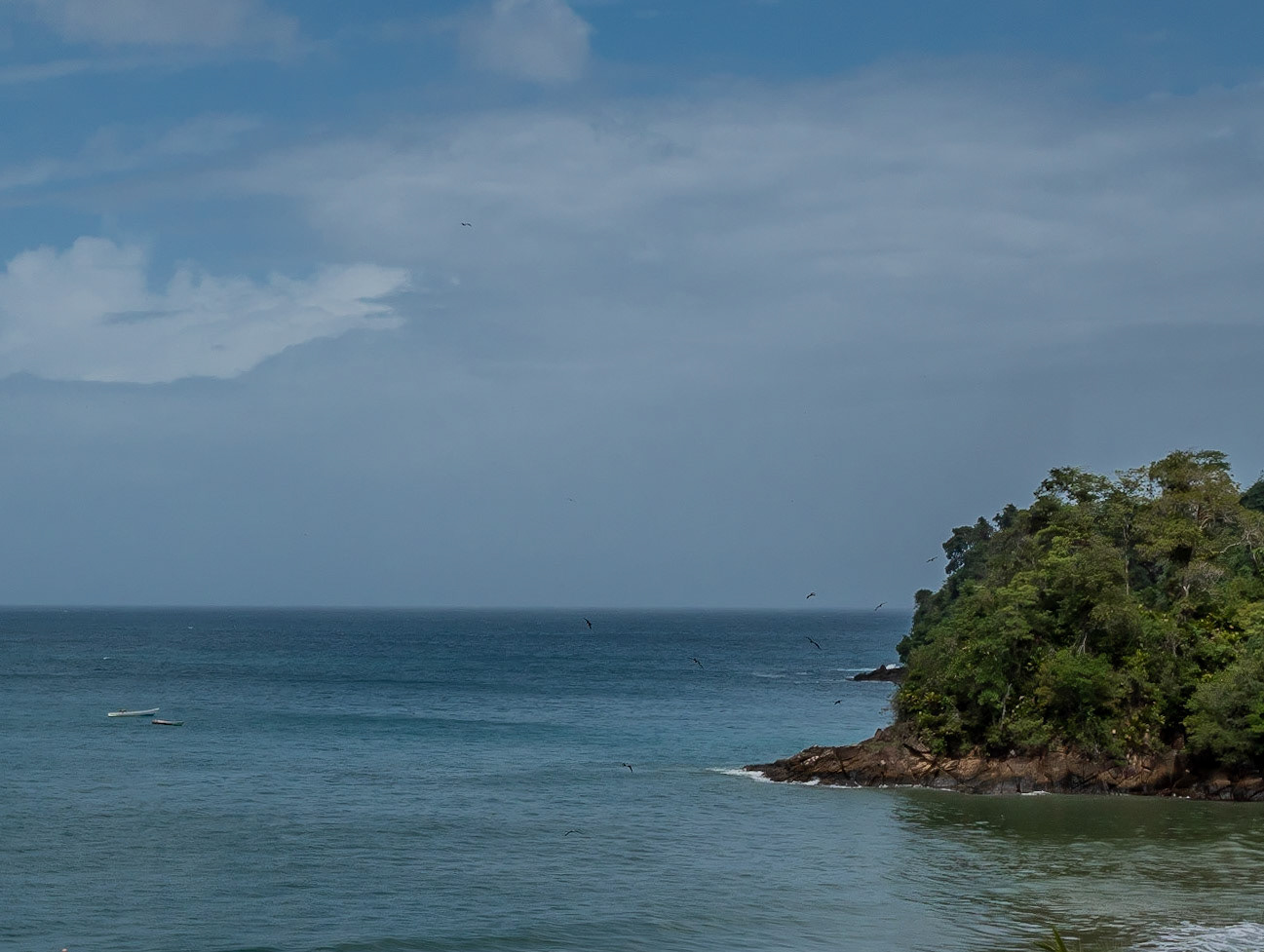 P1055822 West Coastline
