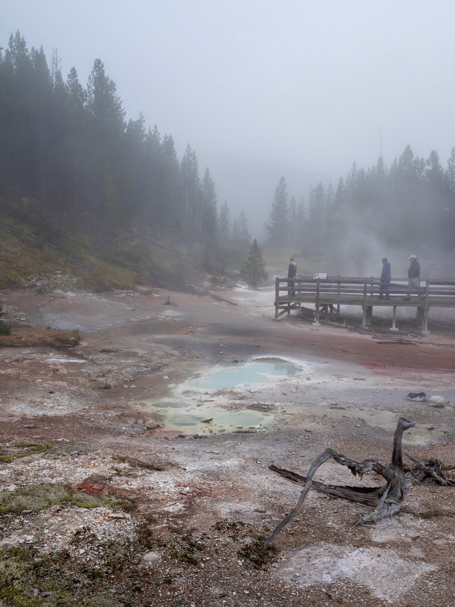 P1124402 Yellowstone National Park