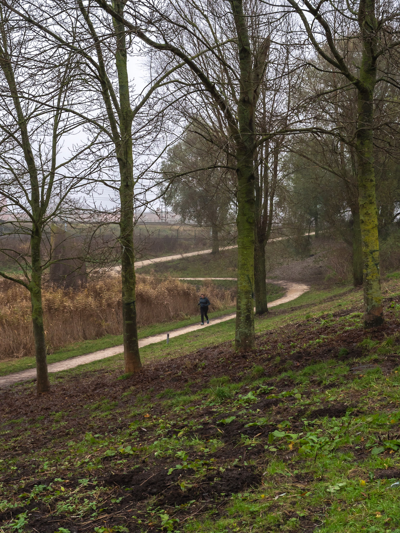 P1068796 Westerpark "A long and winding road"