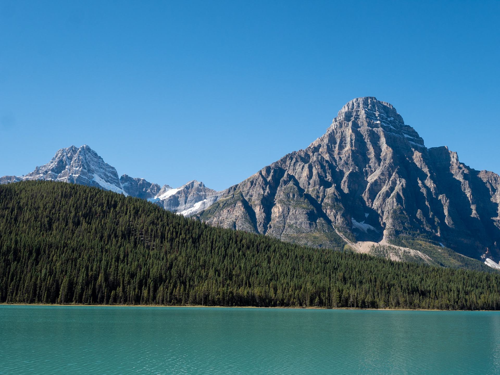 Waterfowl Lake Viewpoint