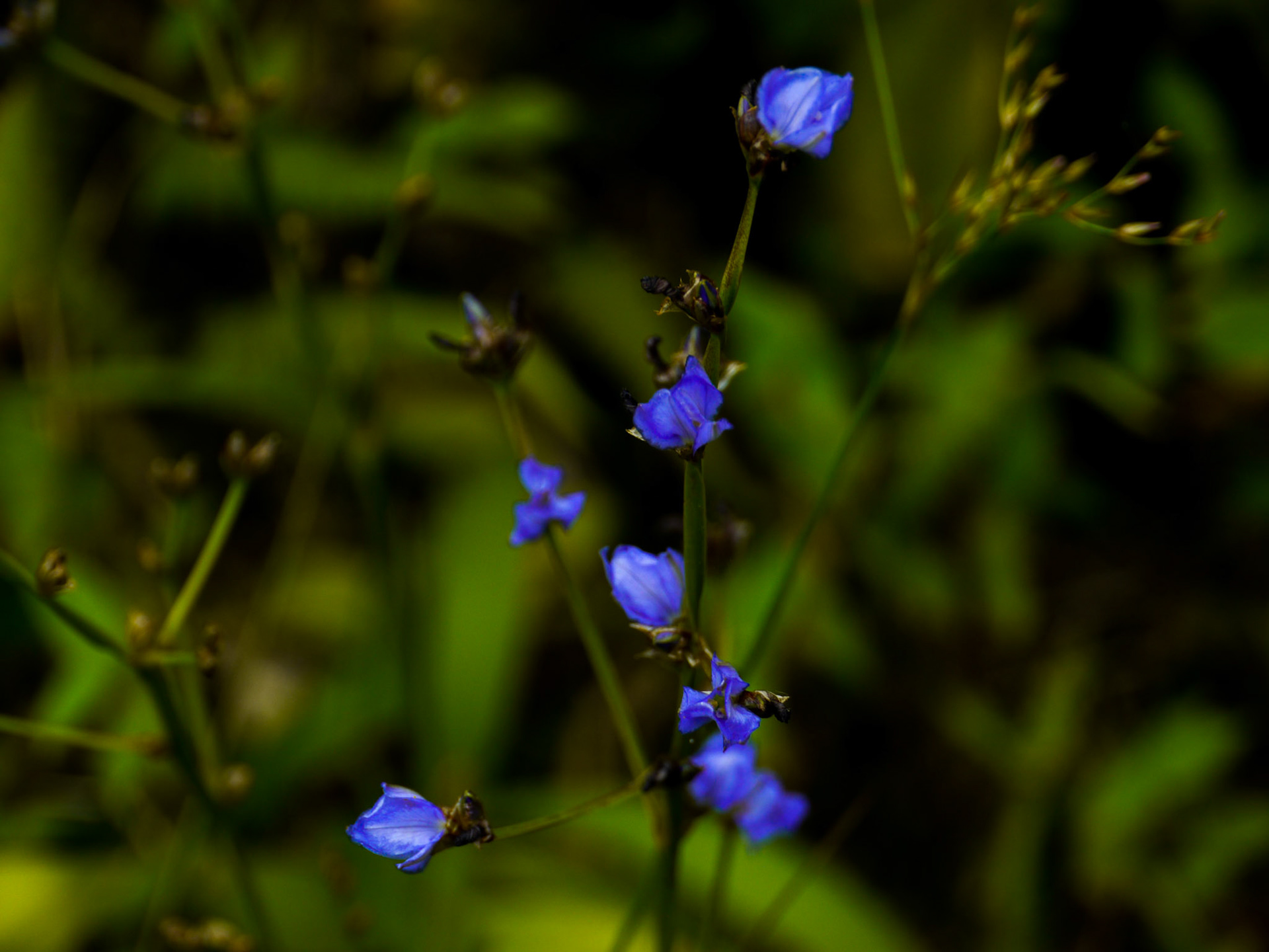 P1020089