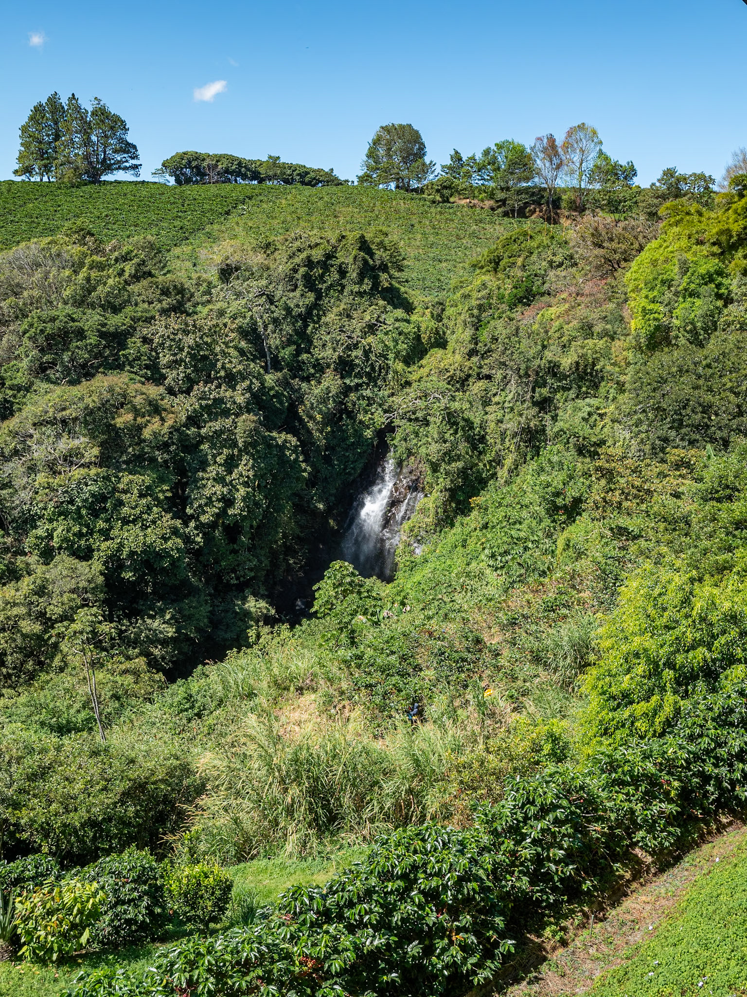 P1146413 Waterfall at Hacienda Alsacia Starbucks Coffee Farm