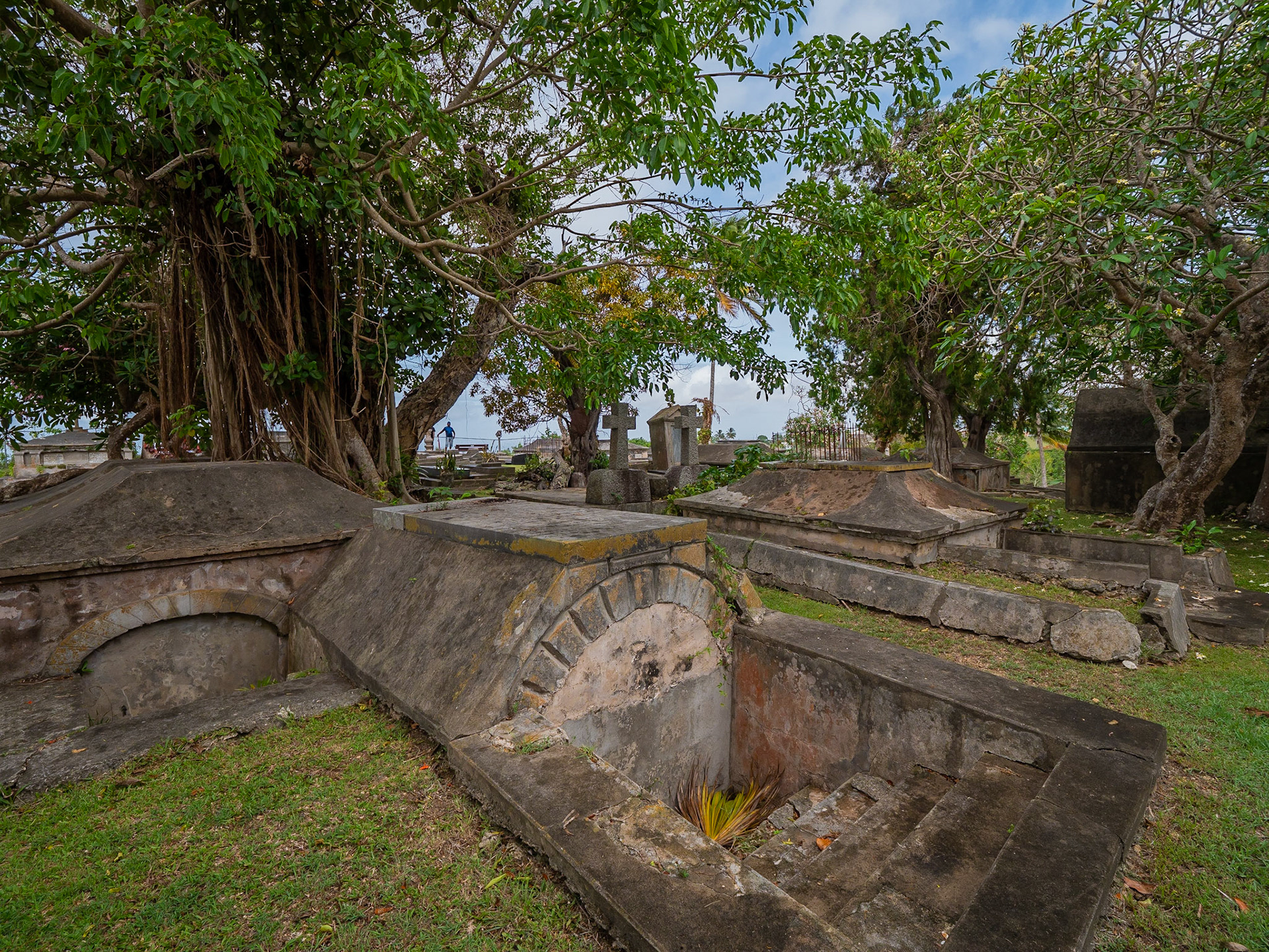 P1013629
