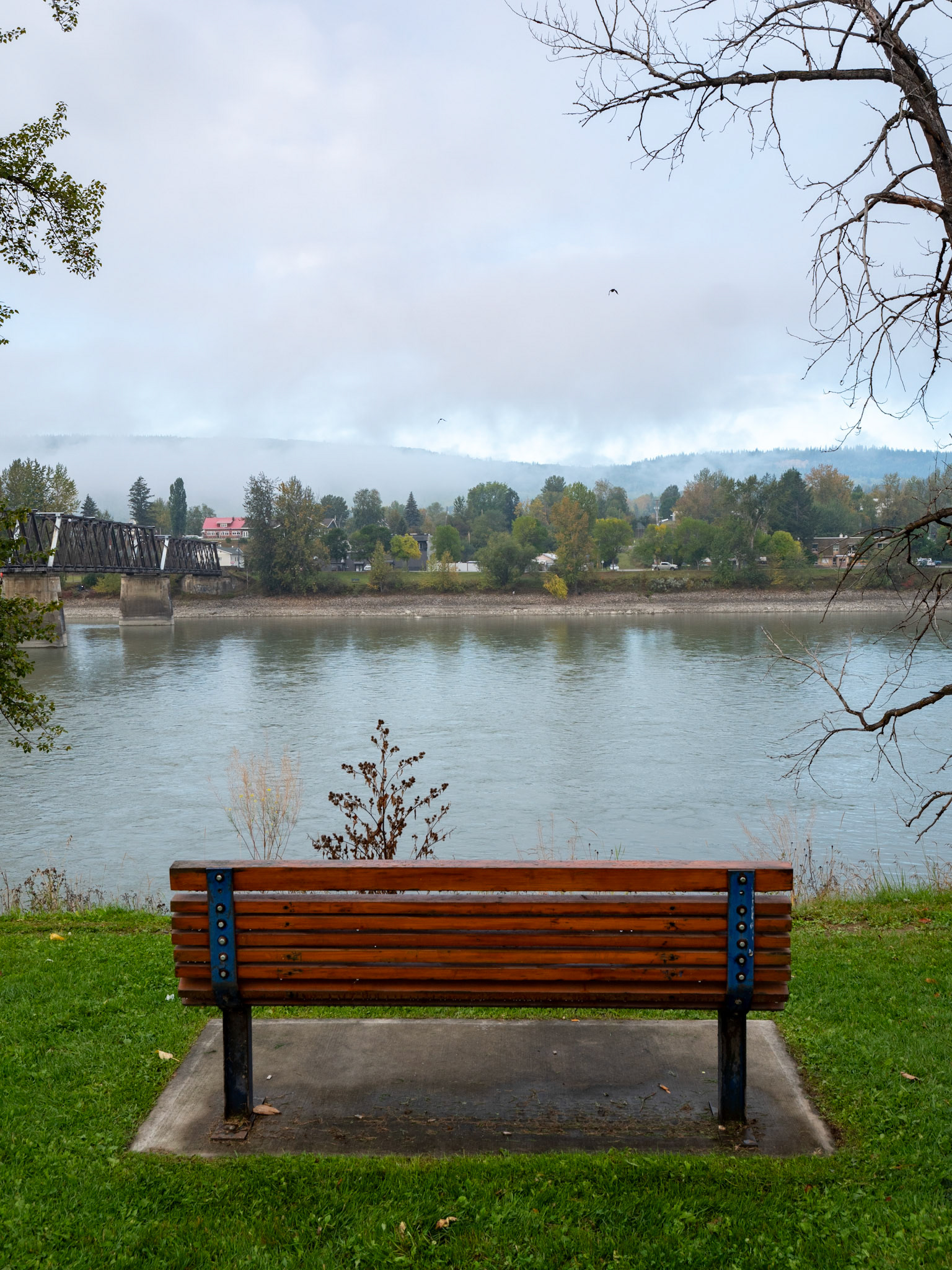 Quesnel