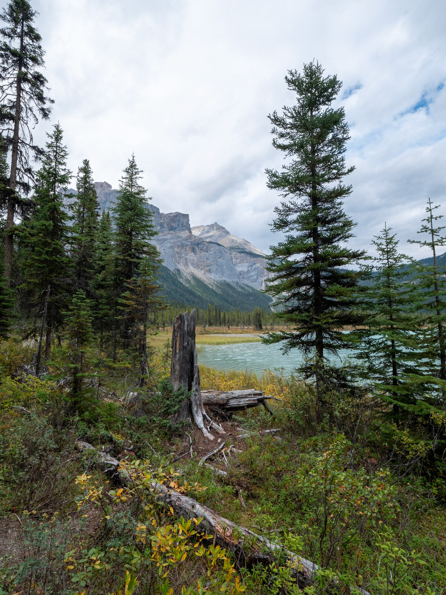Emerald Lake