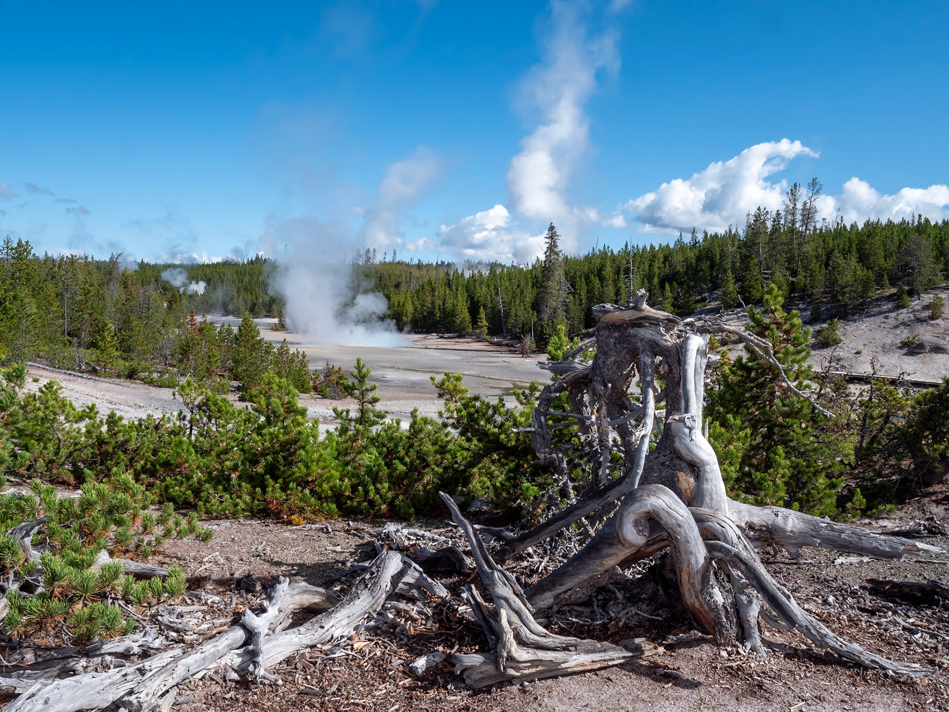 P1124513 Yellowstone National Park