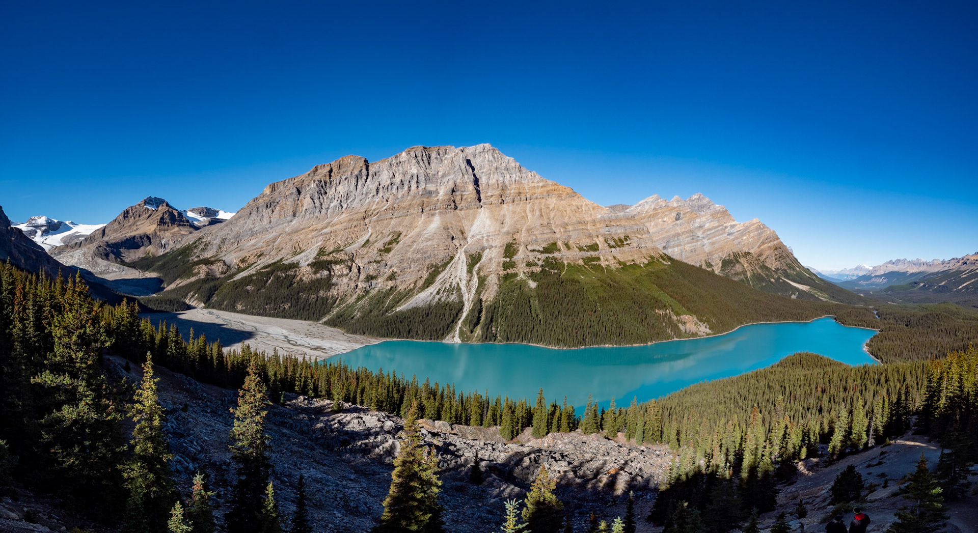 Peyto Lake Upper Viewpoint