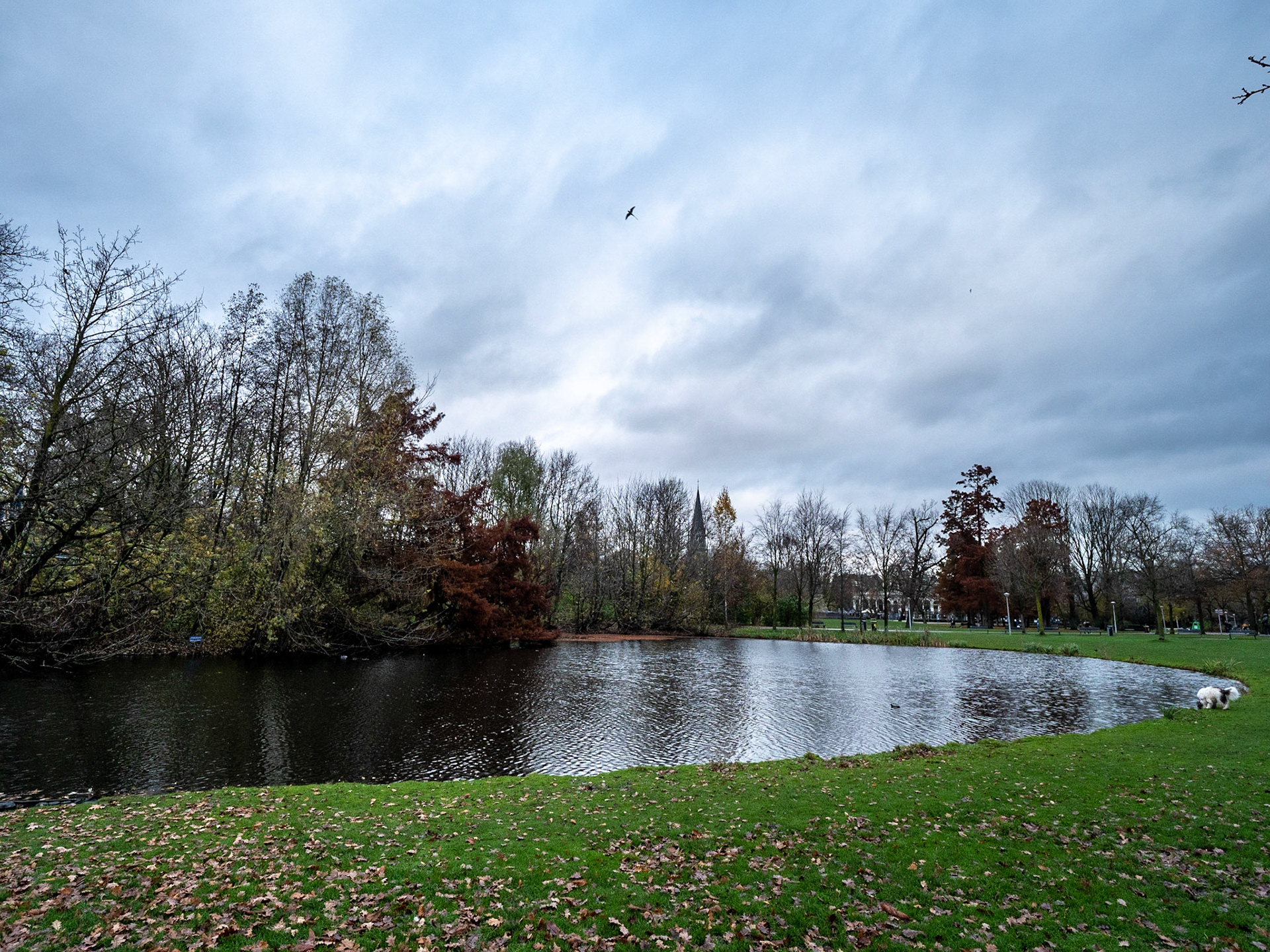 P1068150 Vondelpark