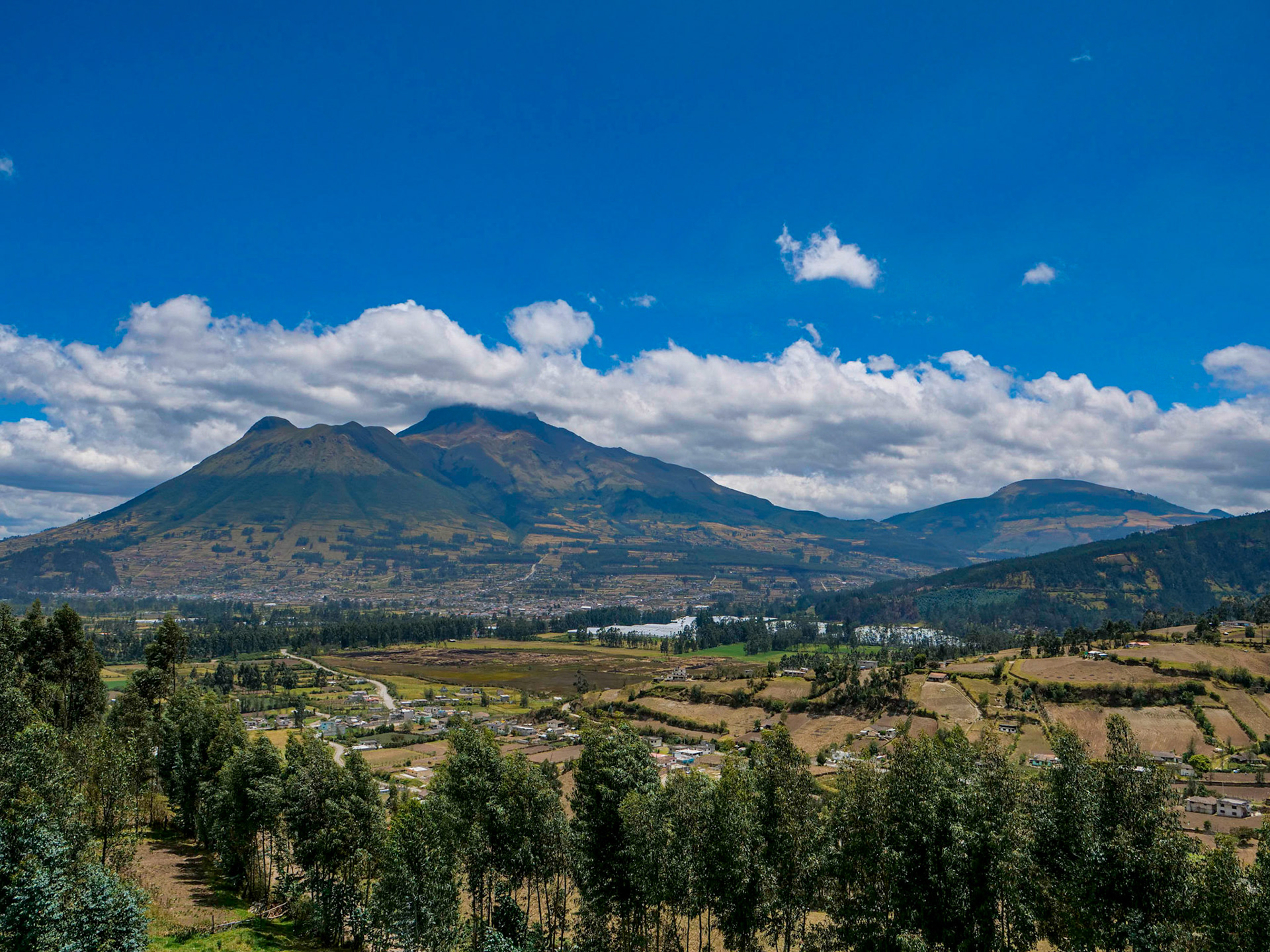 P1001178 Otavalo