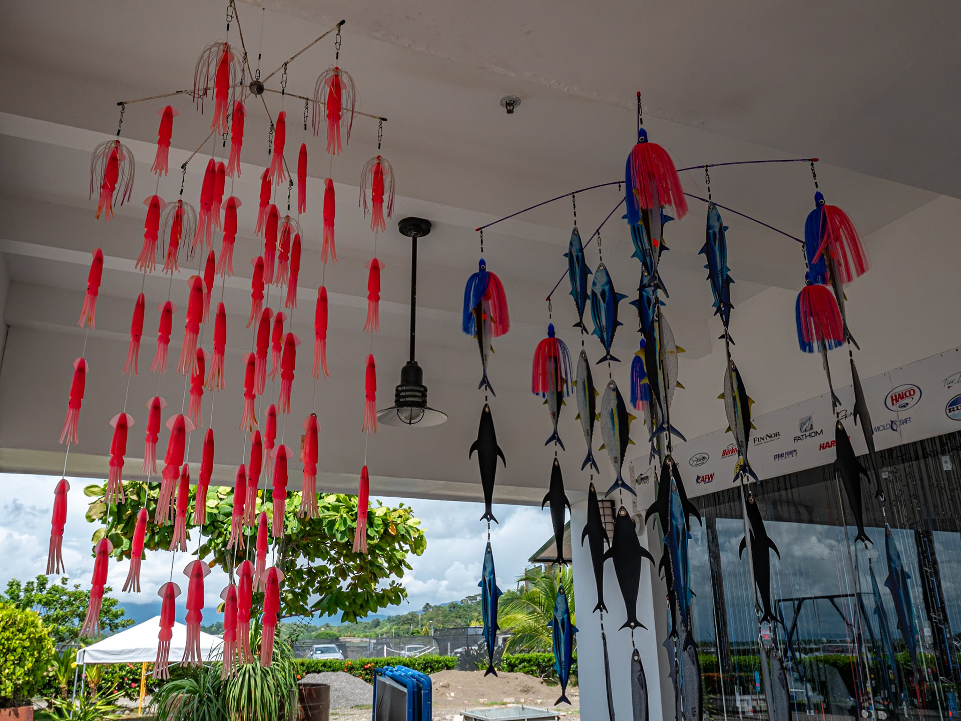 P1157631 Colourful decor on the port, but we need to locate our catamaran for a fun ride, time to "lime"