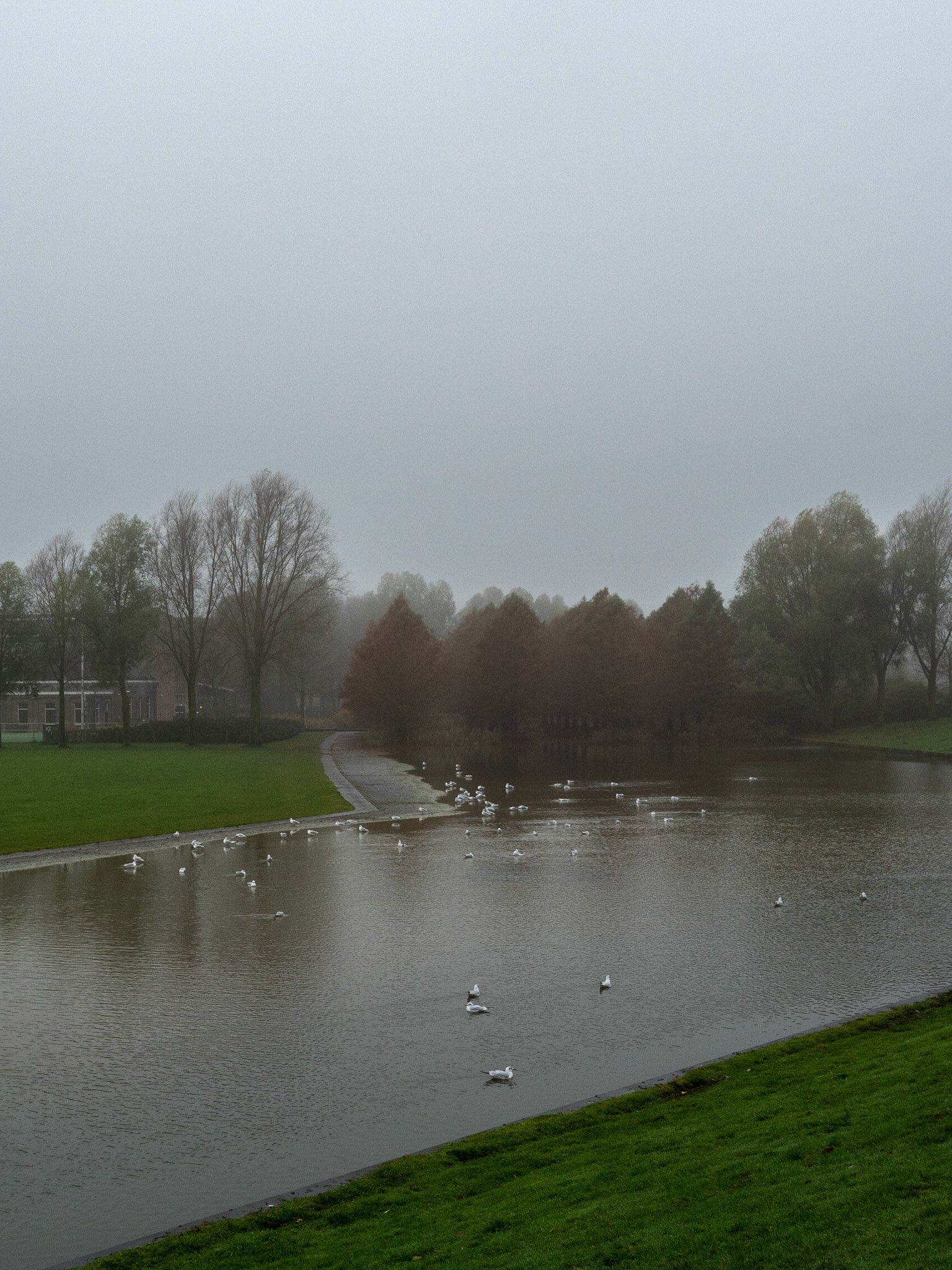 P1068813 Westerpark