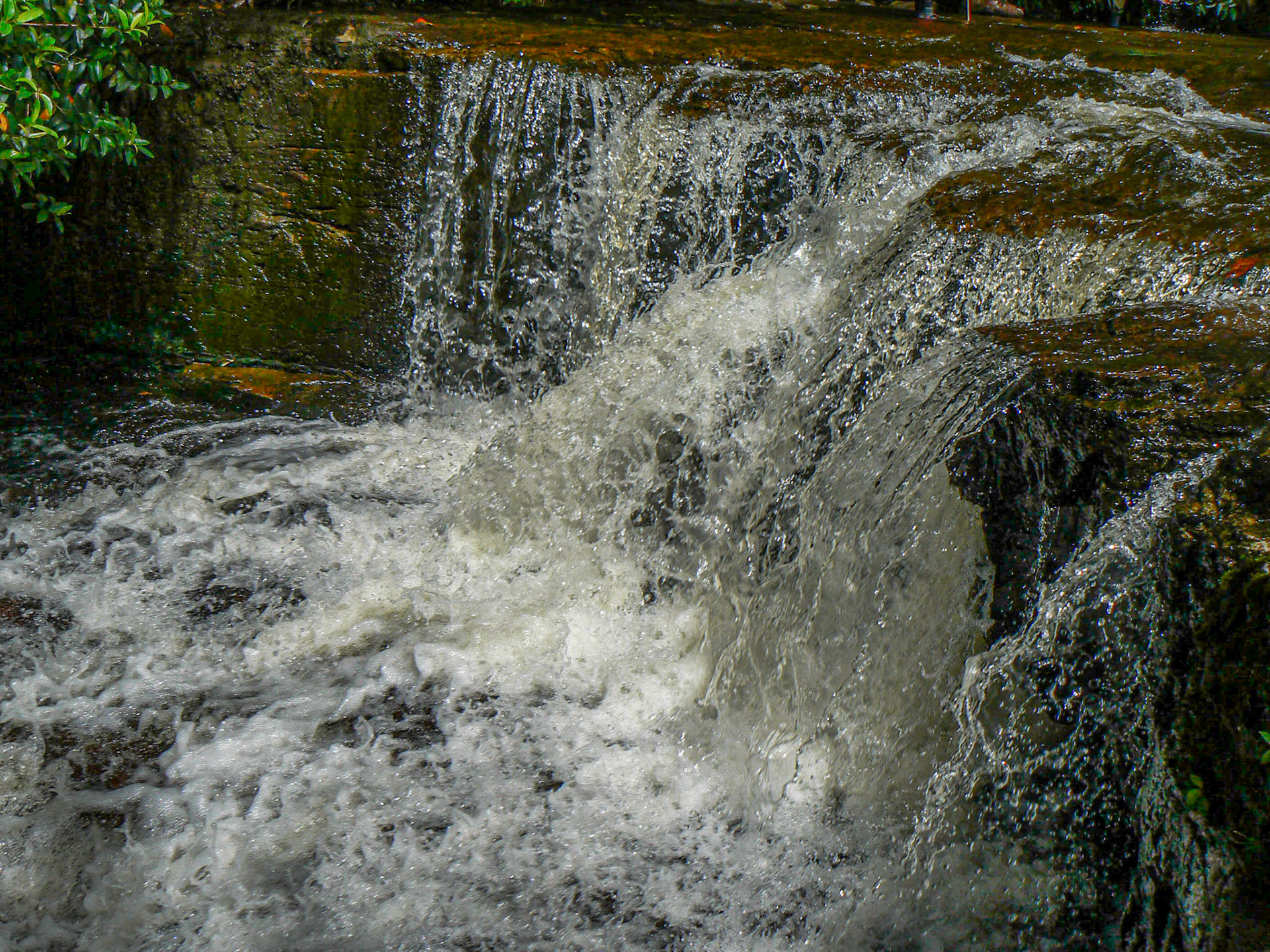 P1040960 Flow of water to an Oasis