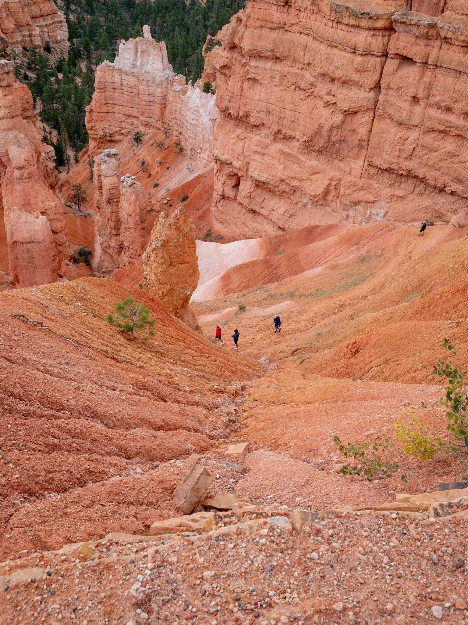 P1123835 Bryce National Park