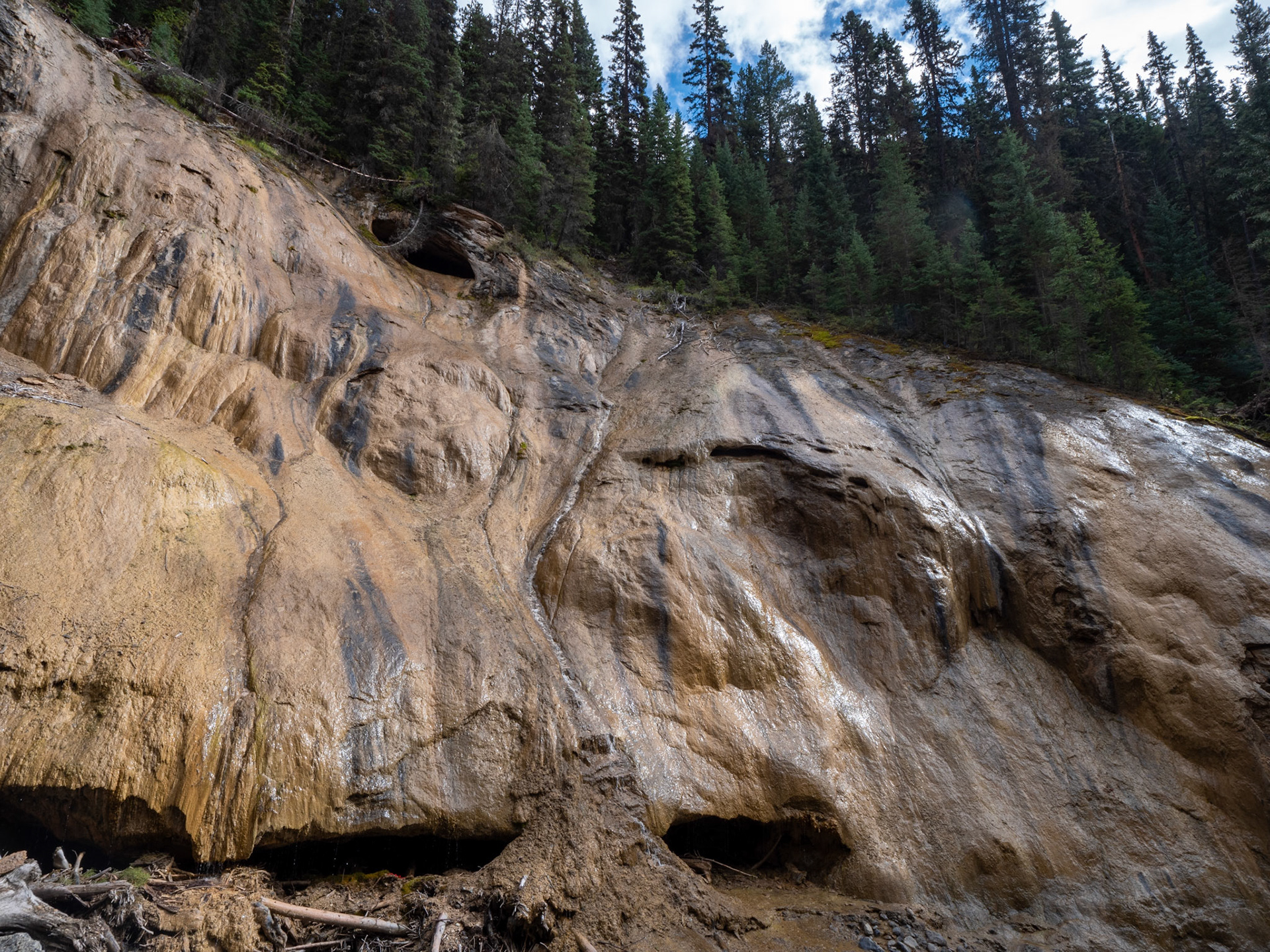 View at Johnson Canyon Upper Falls