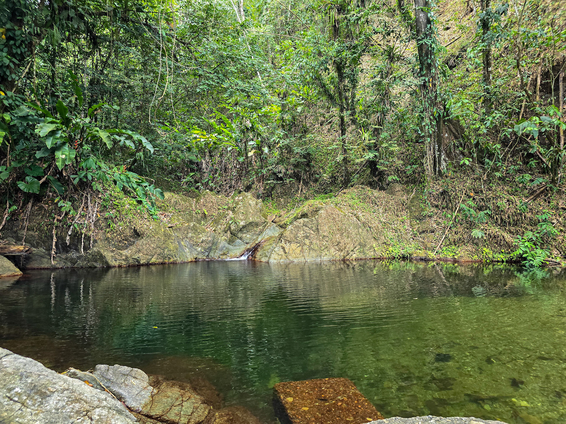 Waterfall close to Parlatuvier Bay