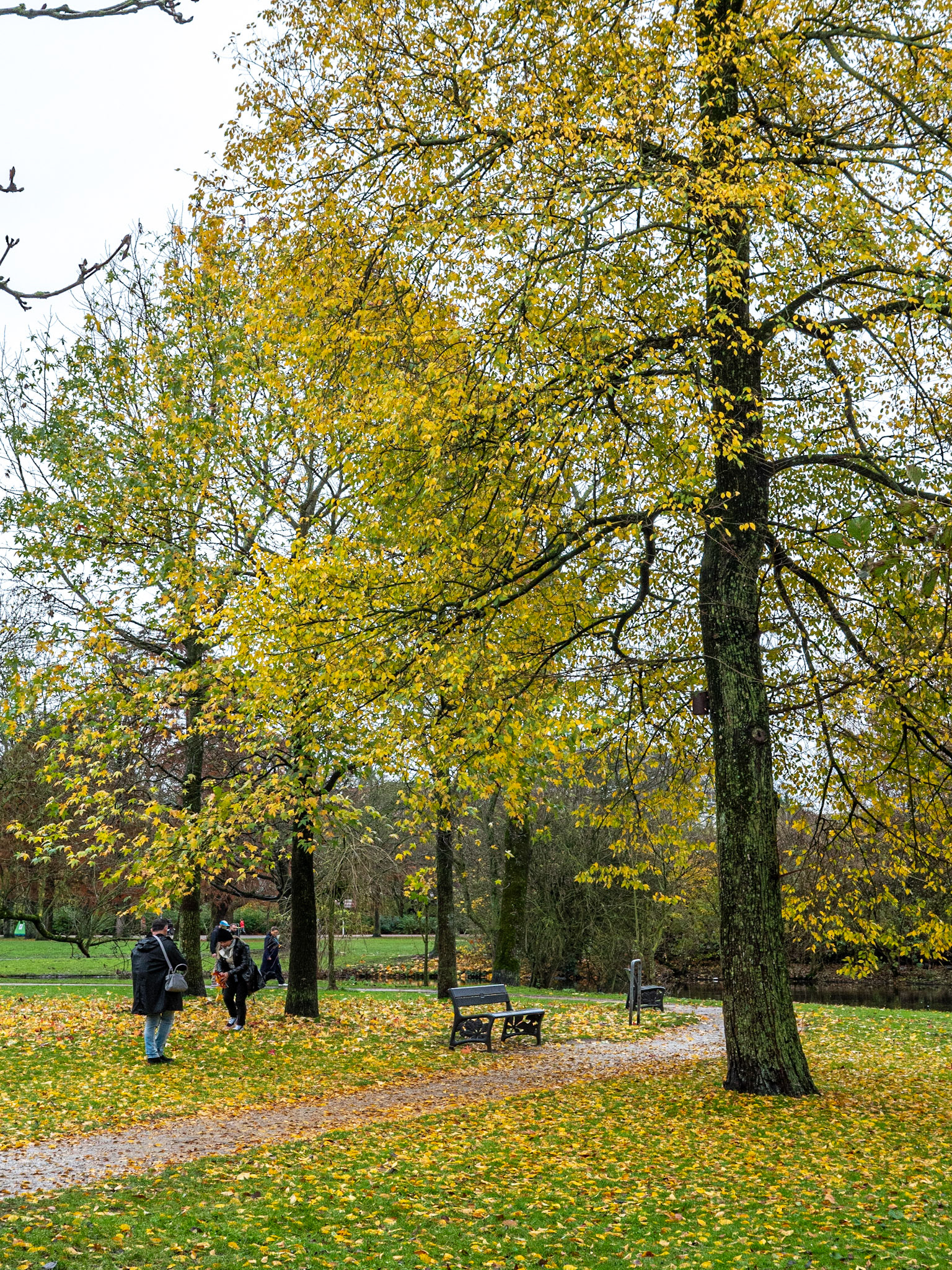 P1068274 Vondelpark