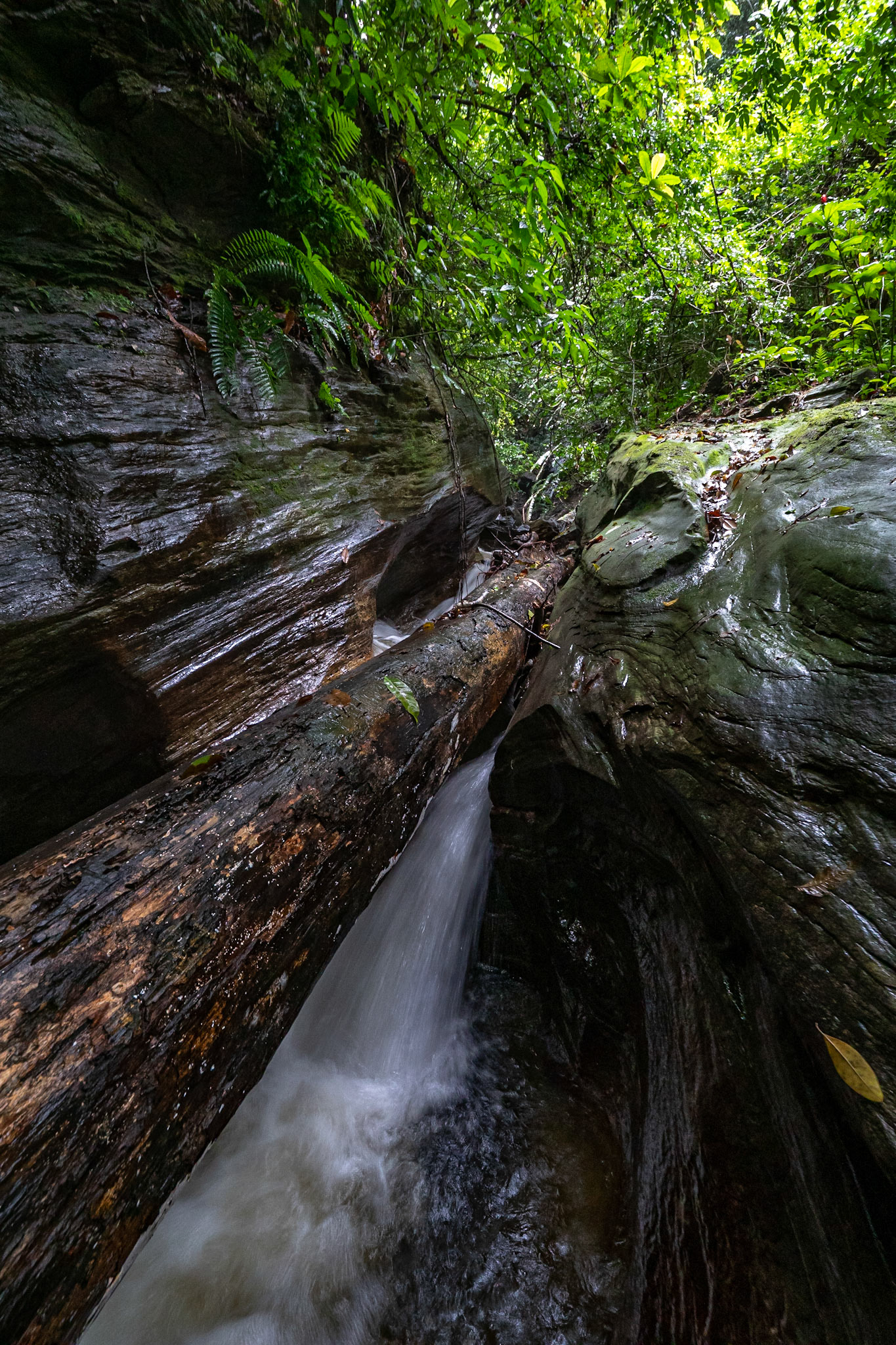 P1072549 Splash through every crevice