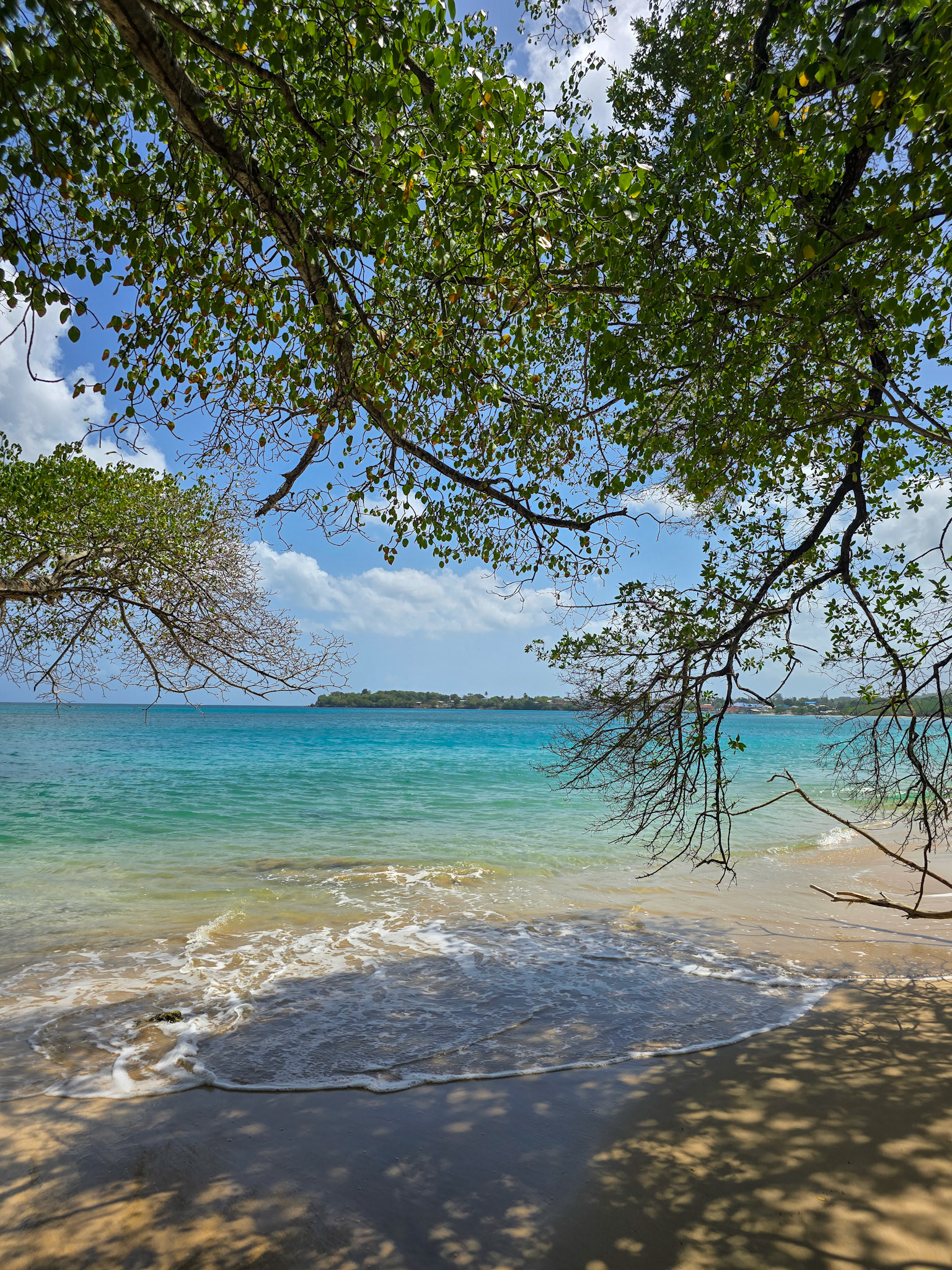 Buccoo Beach