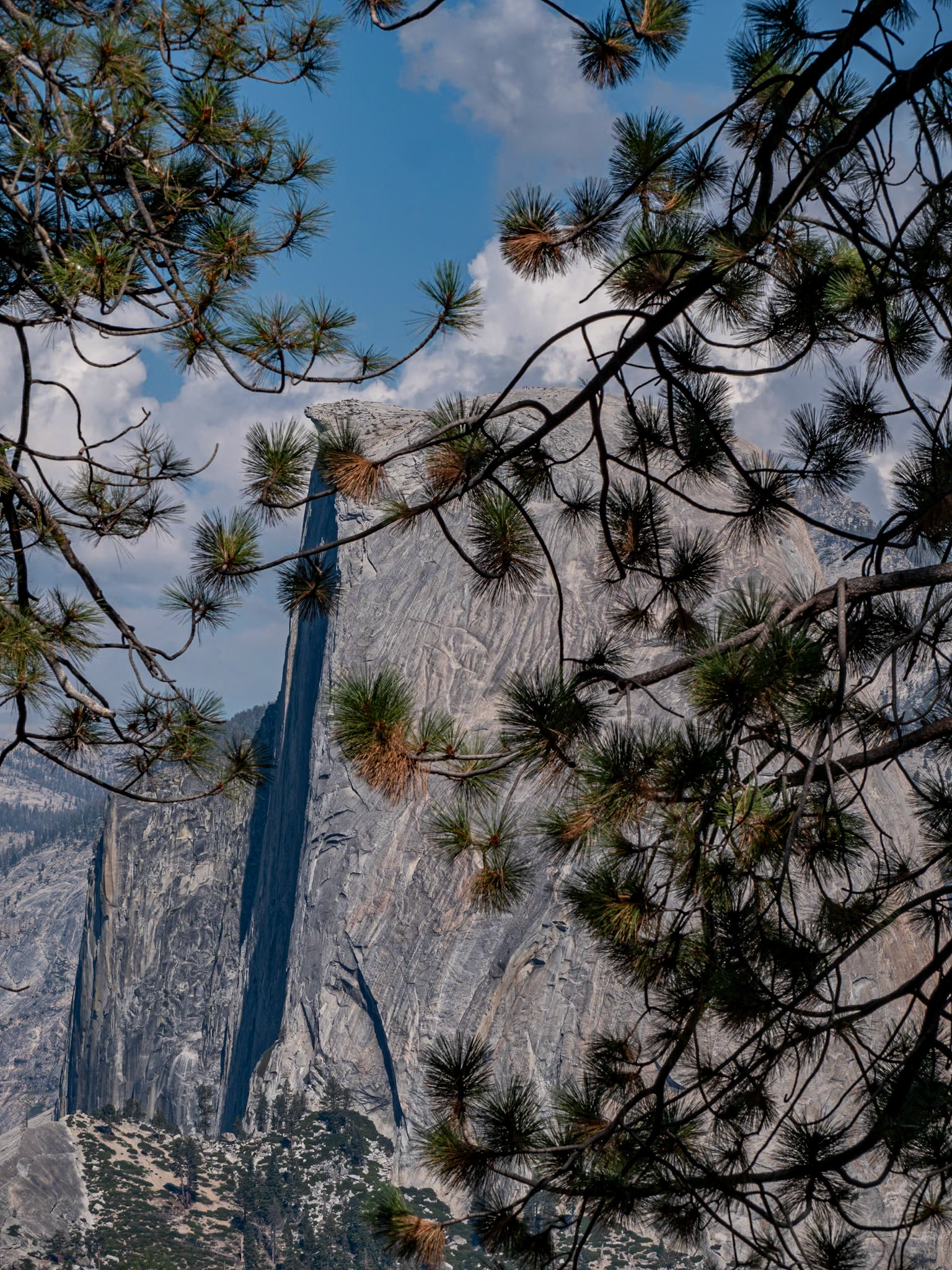 P1135503 Yosemite National Park