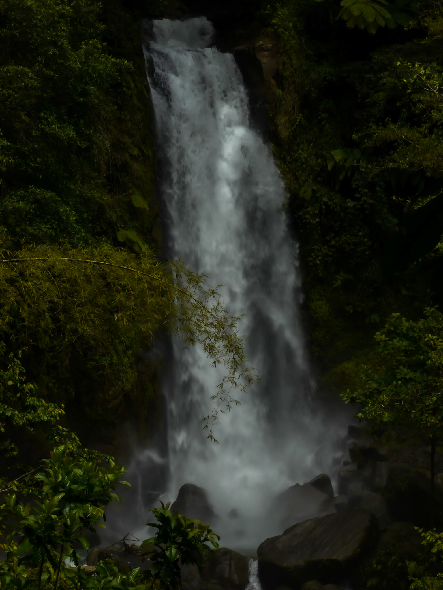 P1040404