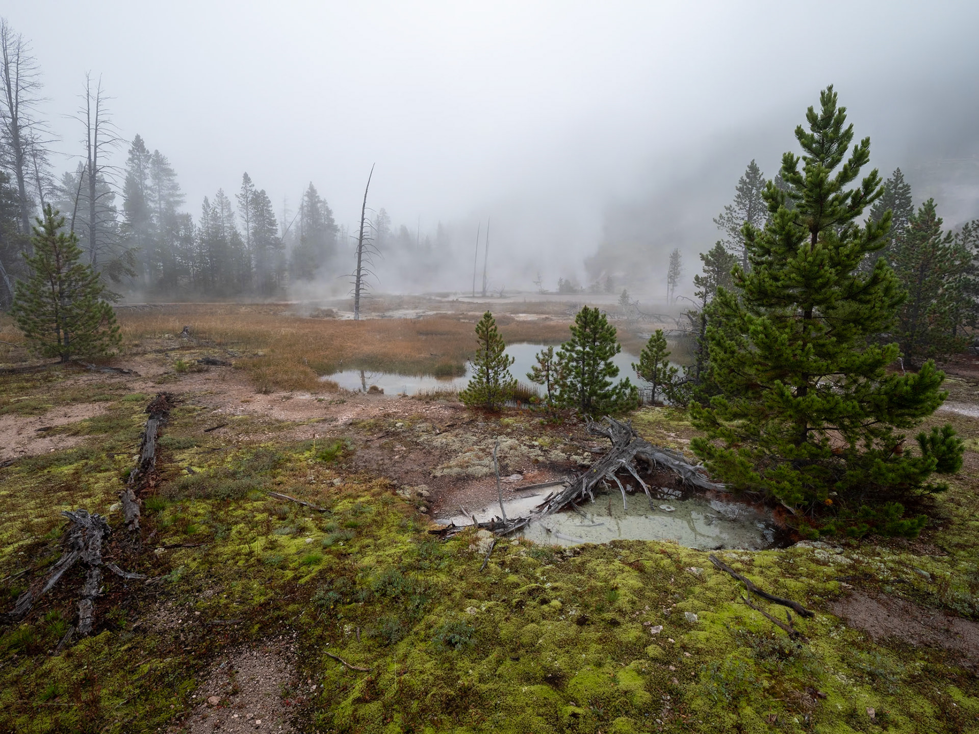P1124425 Yellowstone National Park