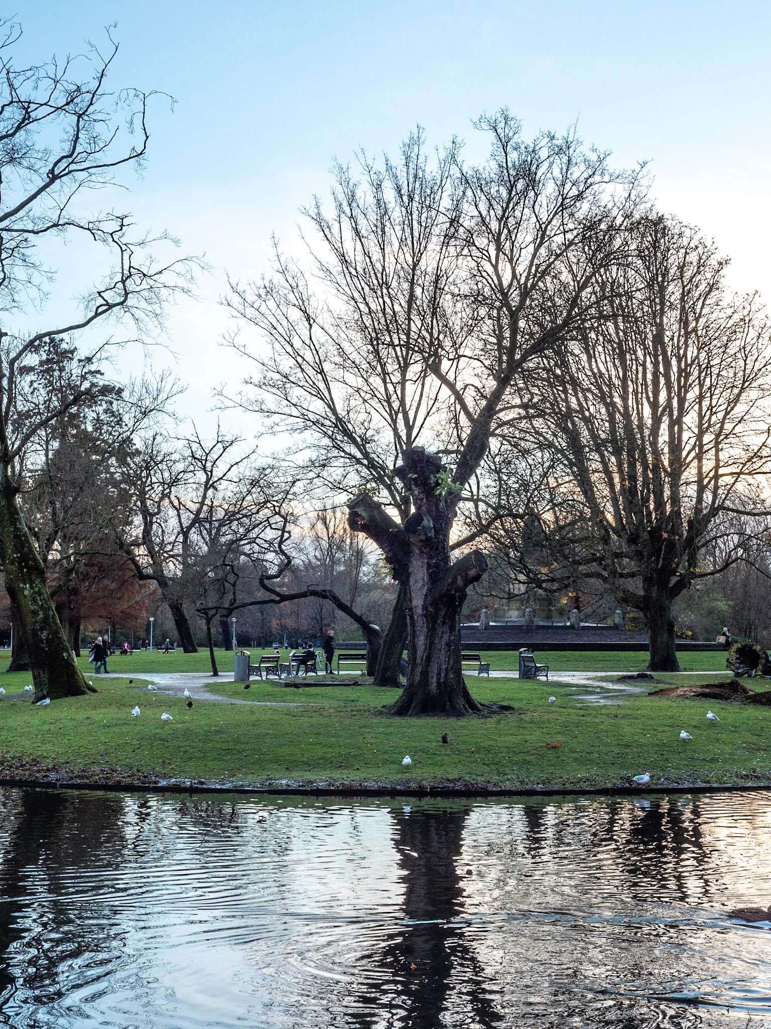 P1068322 Vondelpark