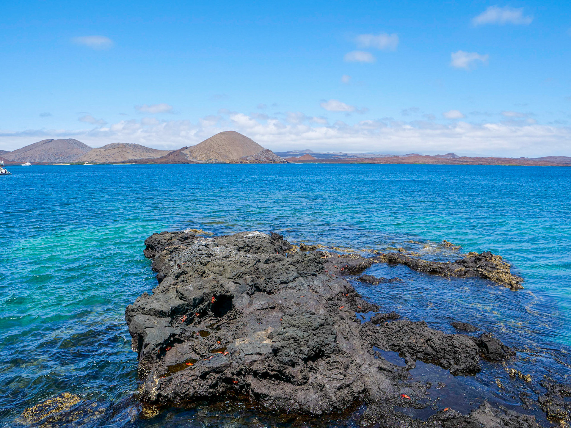P1001553 Bartolomé Island Galapagos