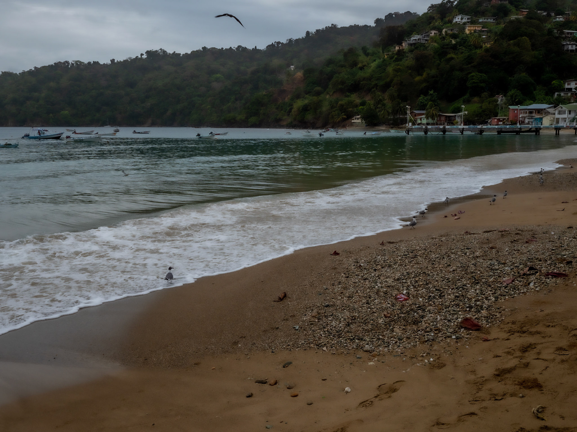 P1055153 Charlotteville