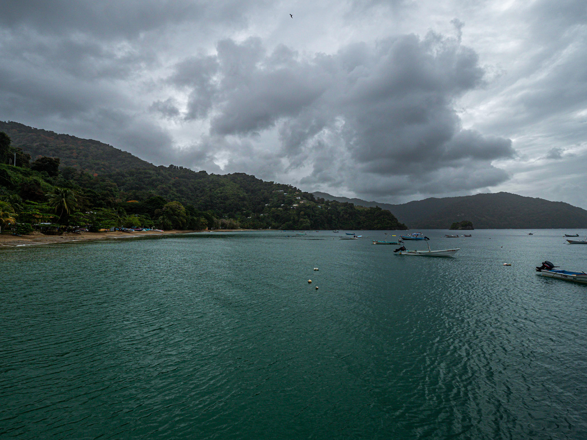 P1055005 Charlotteville