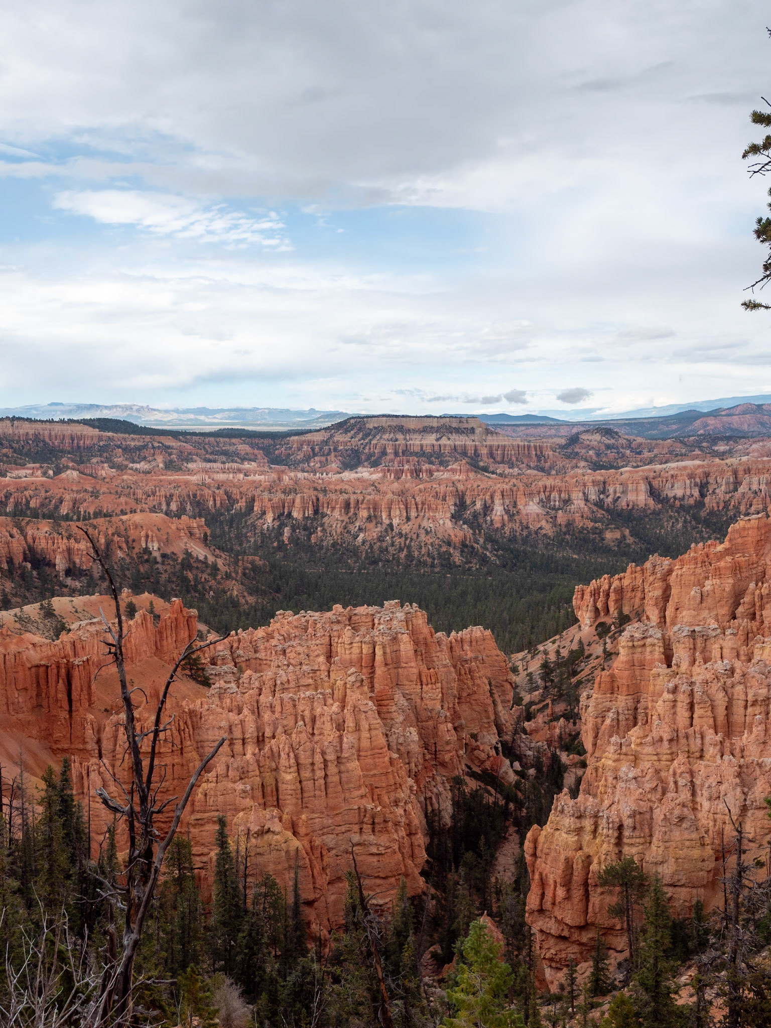 P1123588 Bryce National Park