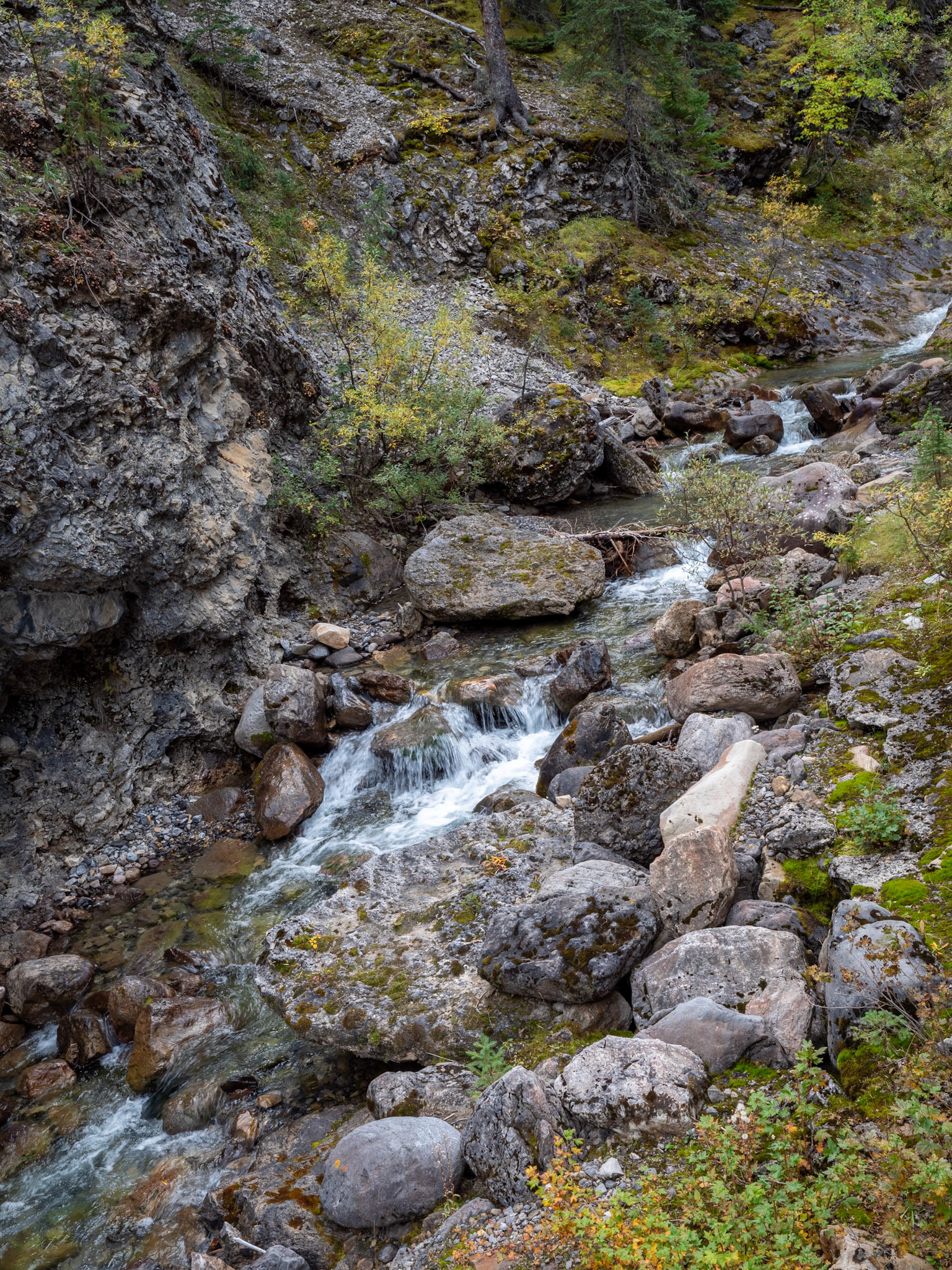Miette Hot Springs