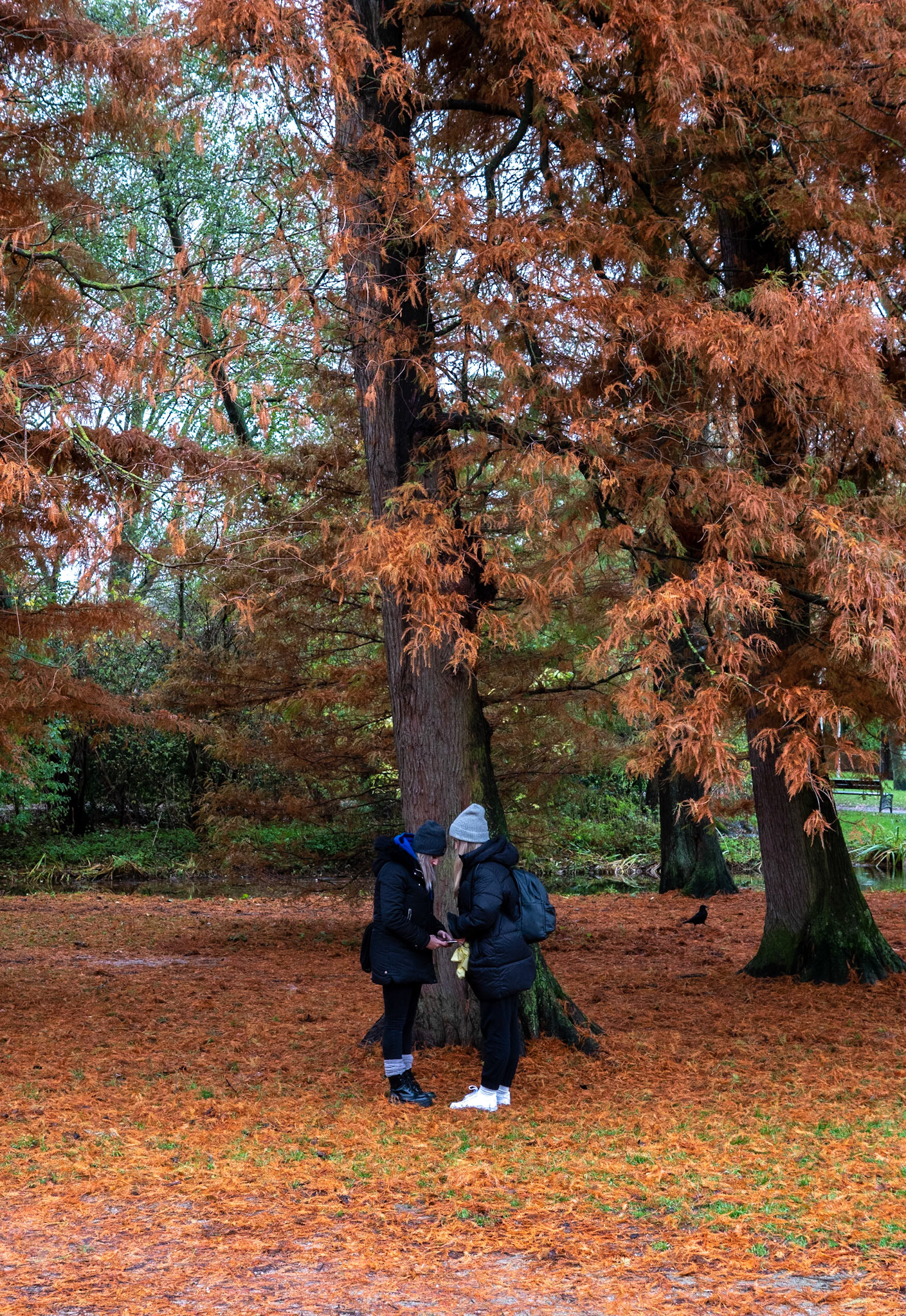 P1068269 Vondelpark "Best of Friends"