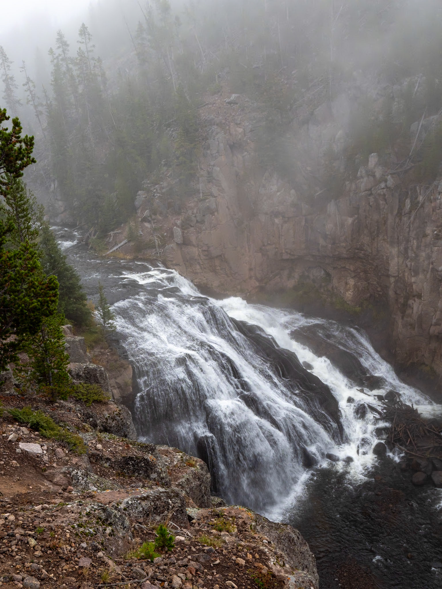 P1124367 Yellowstone National Park