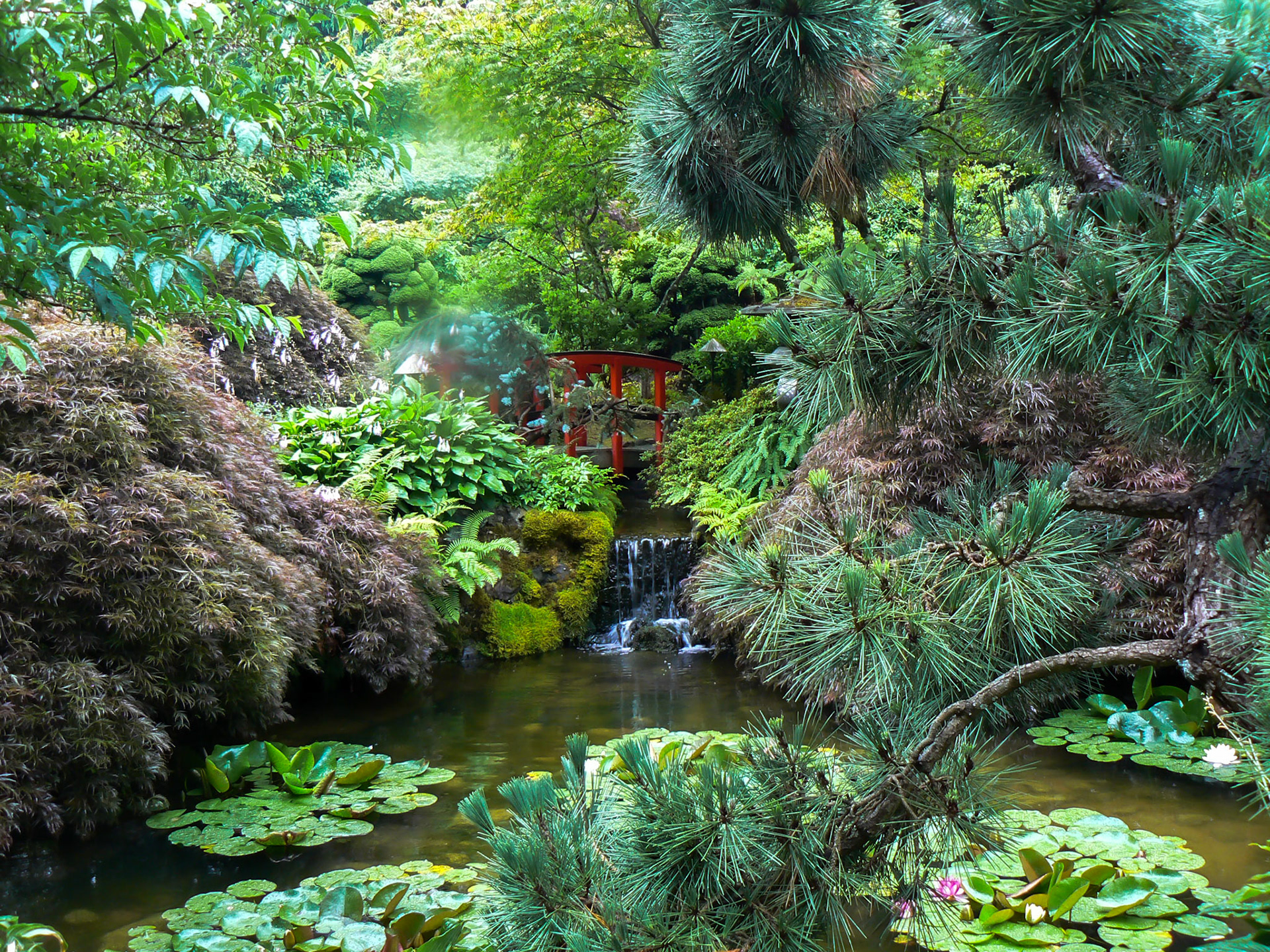 P1010734 Victoria Garden