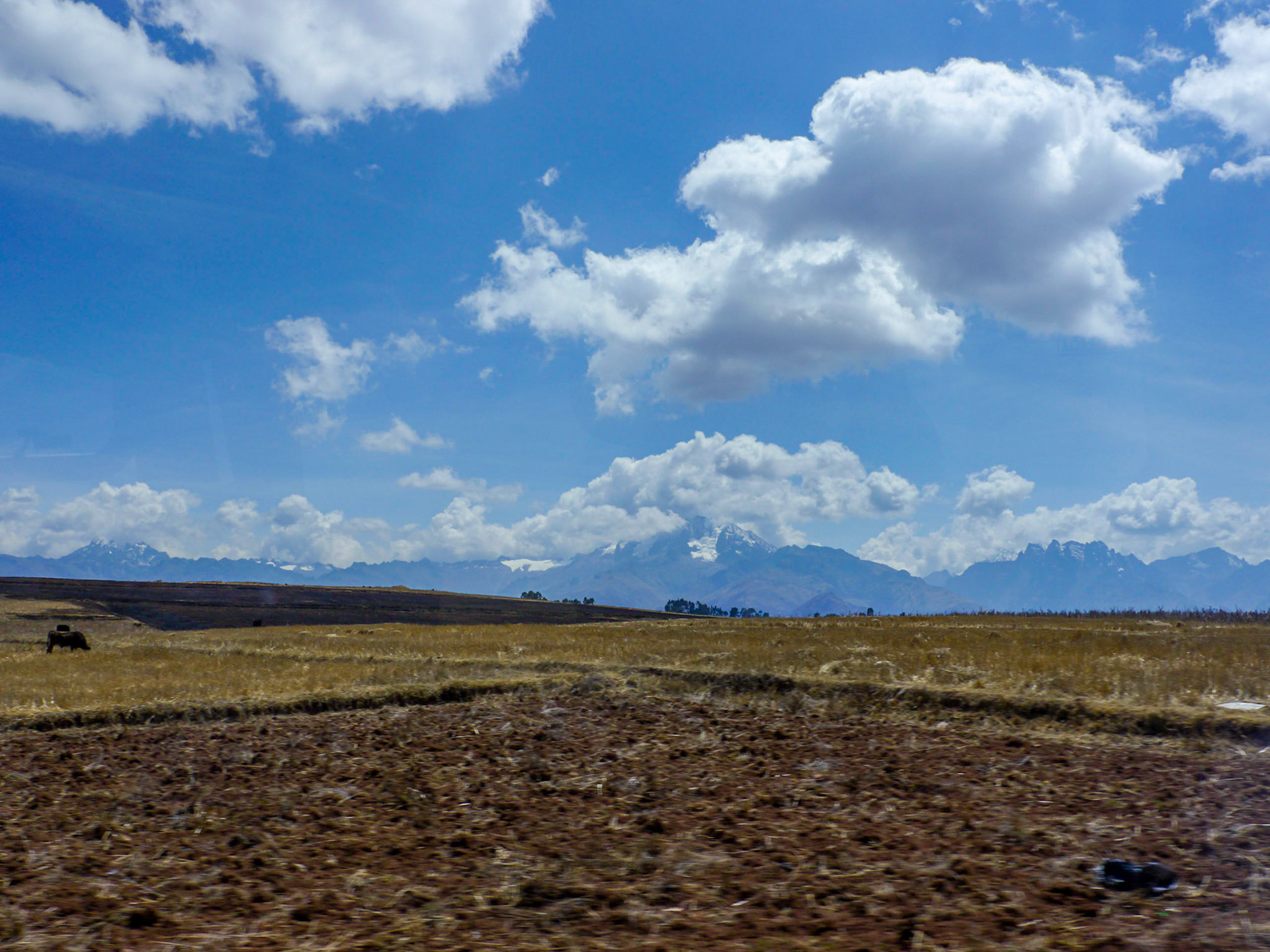 P1080844 Chinchero