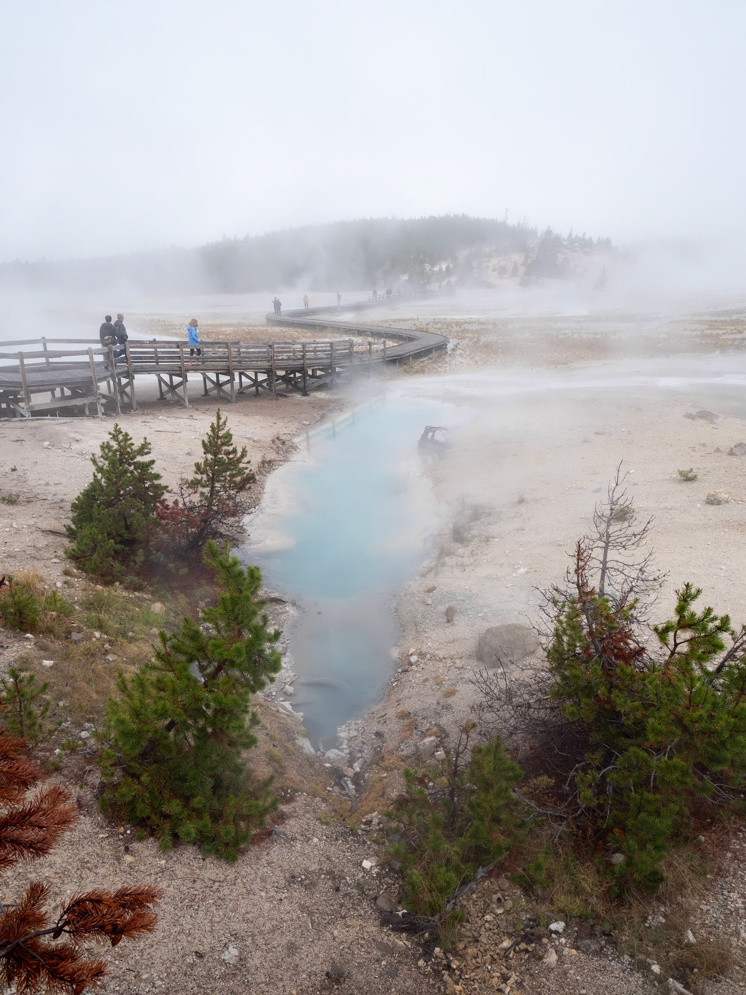 P1124457 Yellowstone National Park