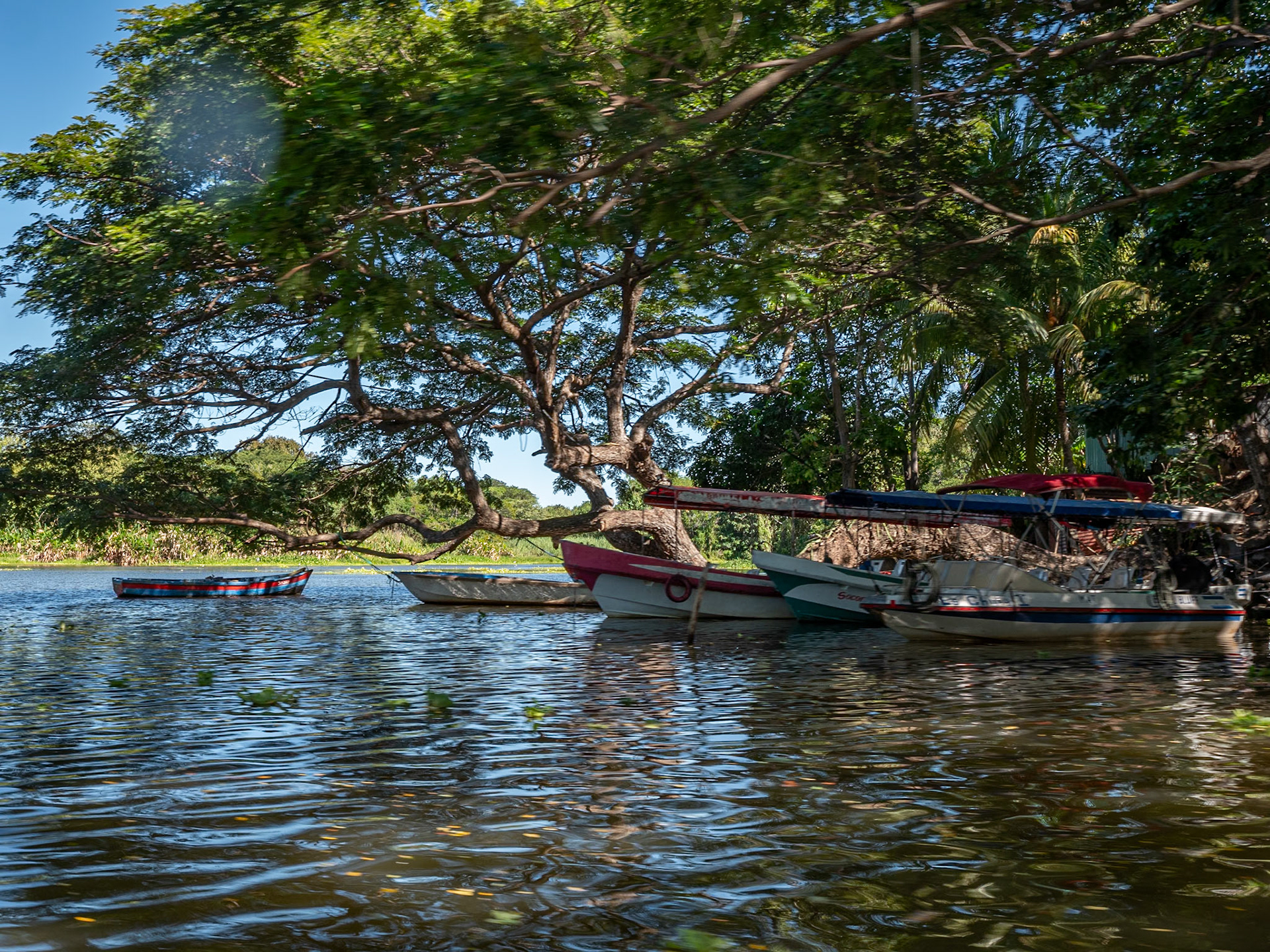 P1158334 Boats parked in the shade