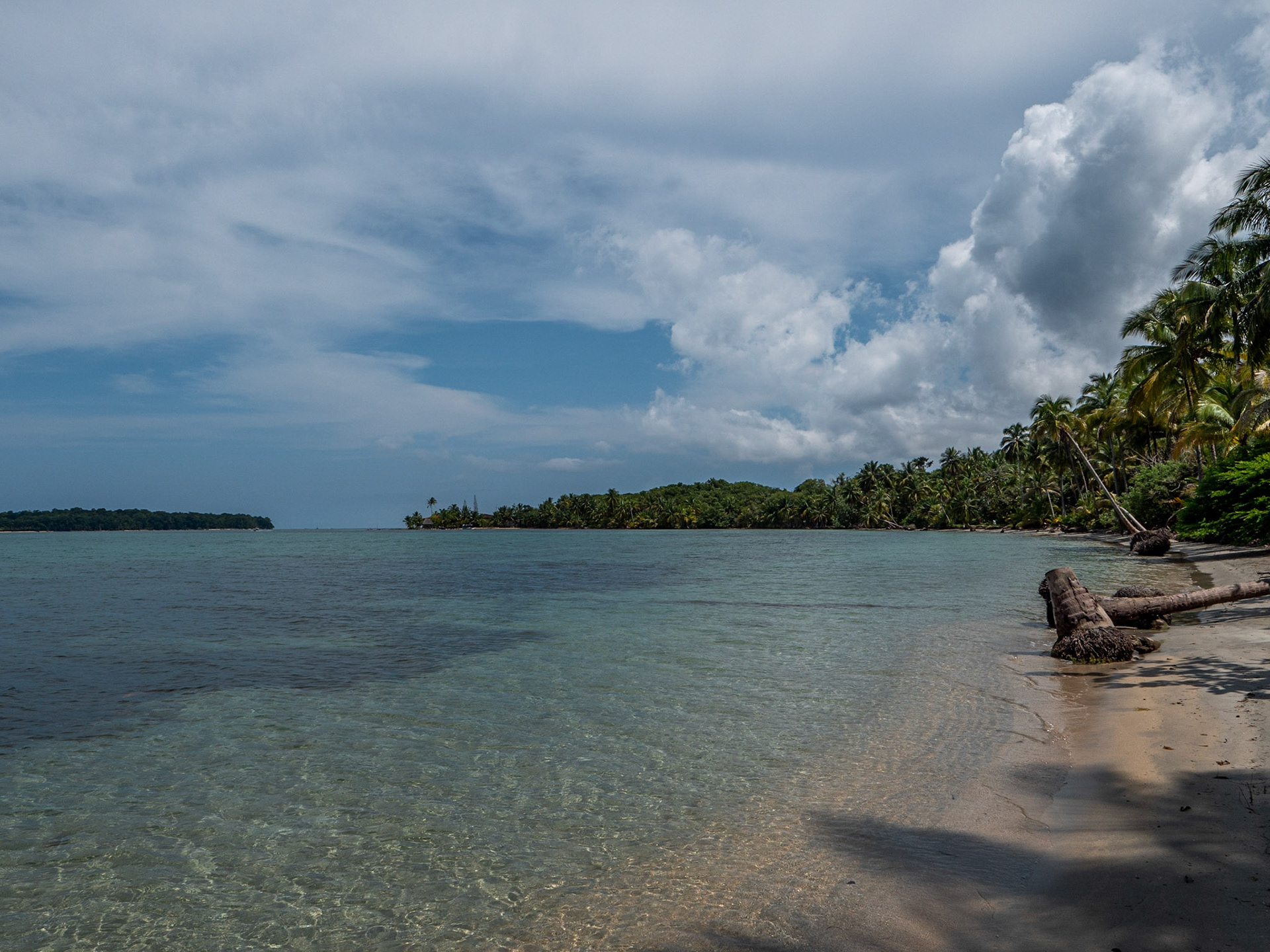 P1024933 Bocas del Drago