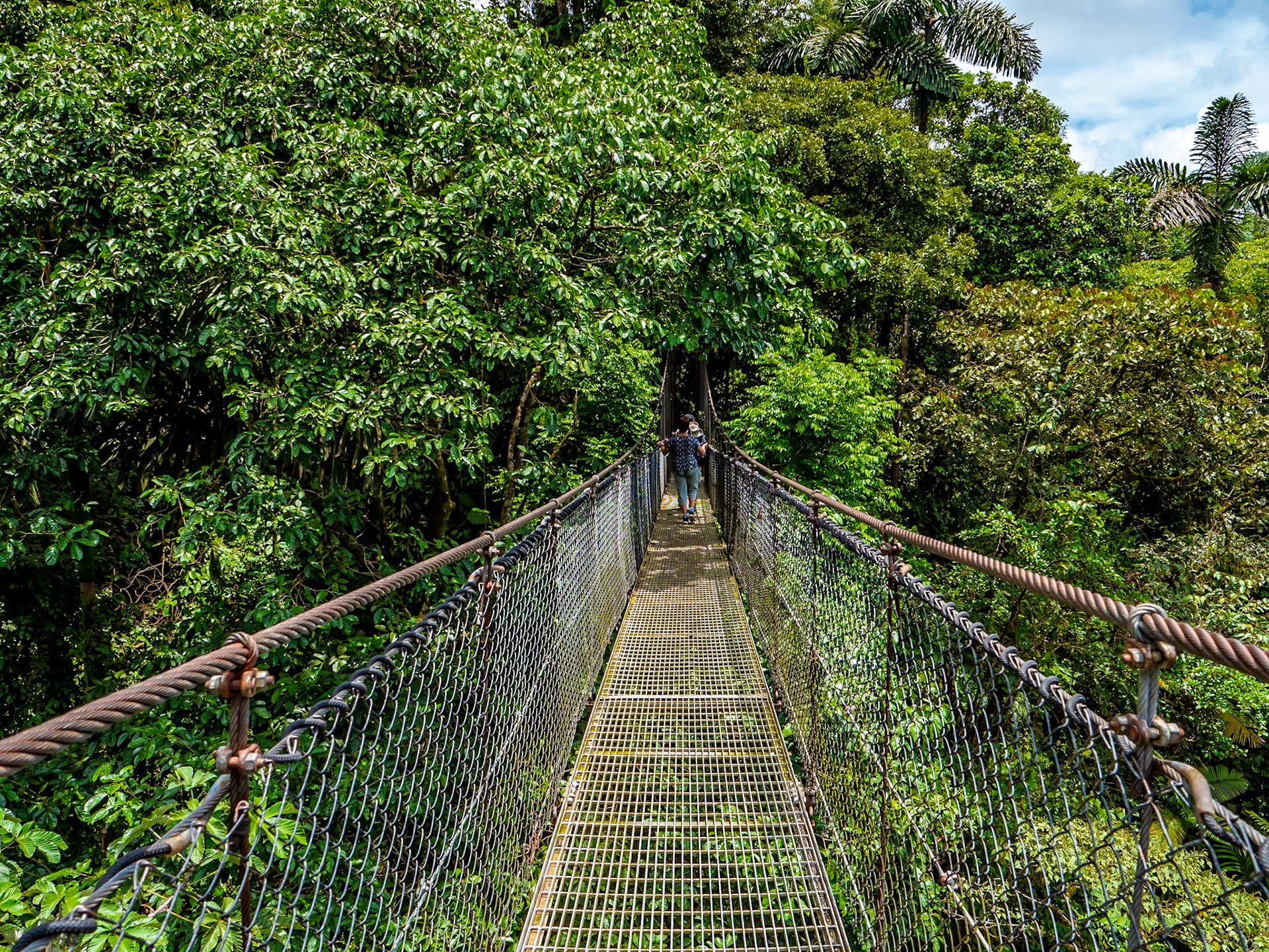 P1014363 Mystical Hanging Bridges